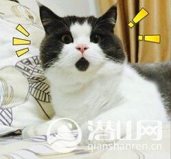 QQͼ20150824114709.jpg