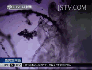 4.gif