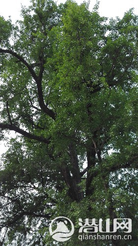 IMG_20160429_182307.jpg