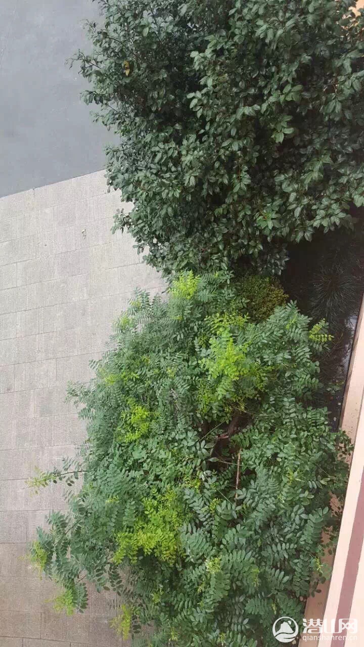 image.jpeg
