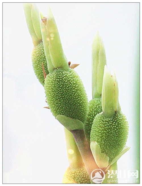 ˽.jpg