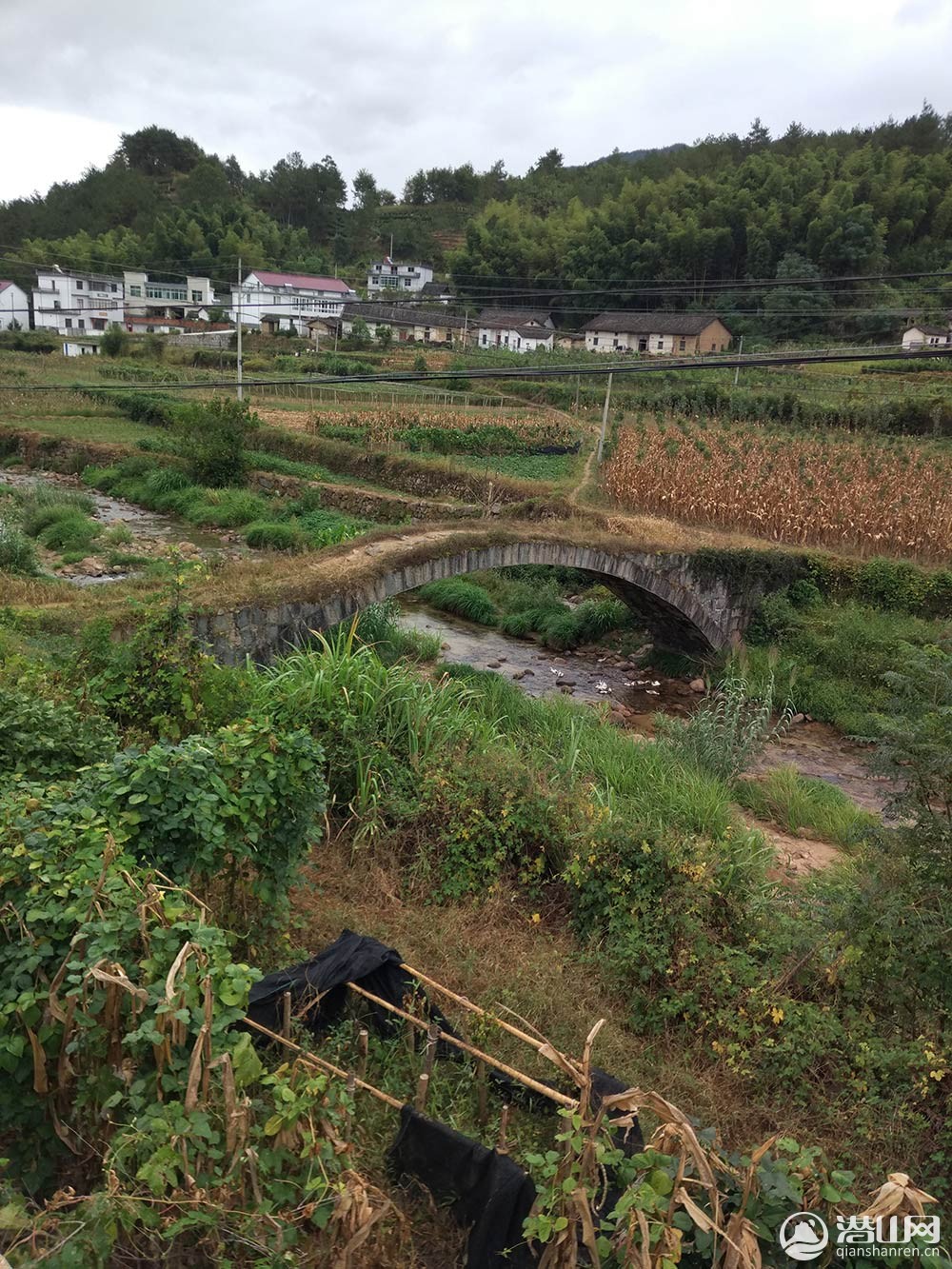 QQͼƬ20160917190228.jpg