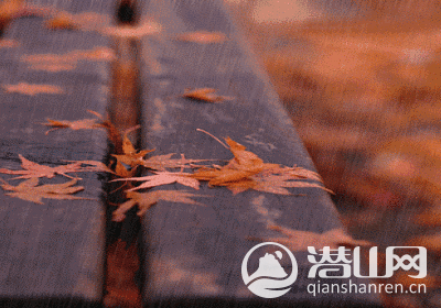 mmexport1477053688837.gif