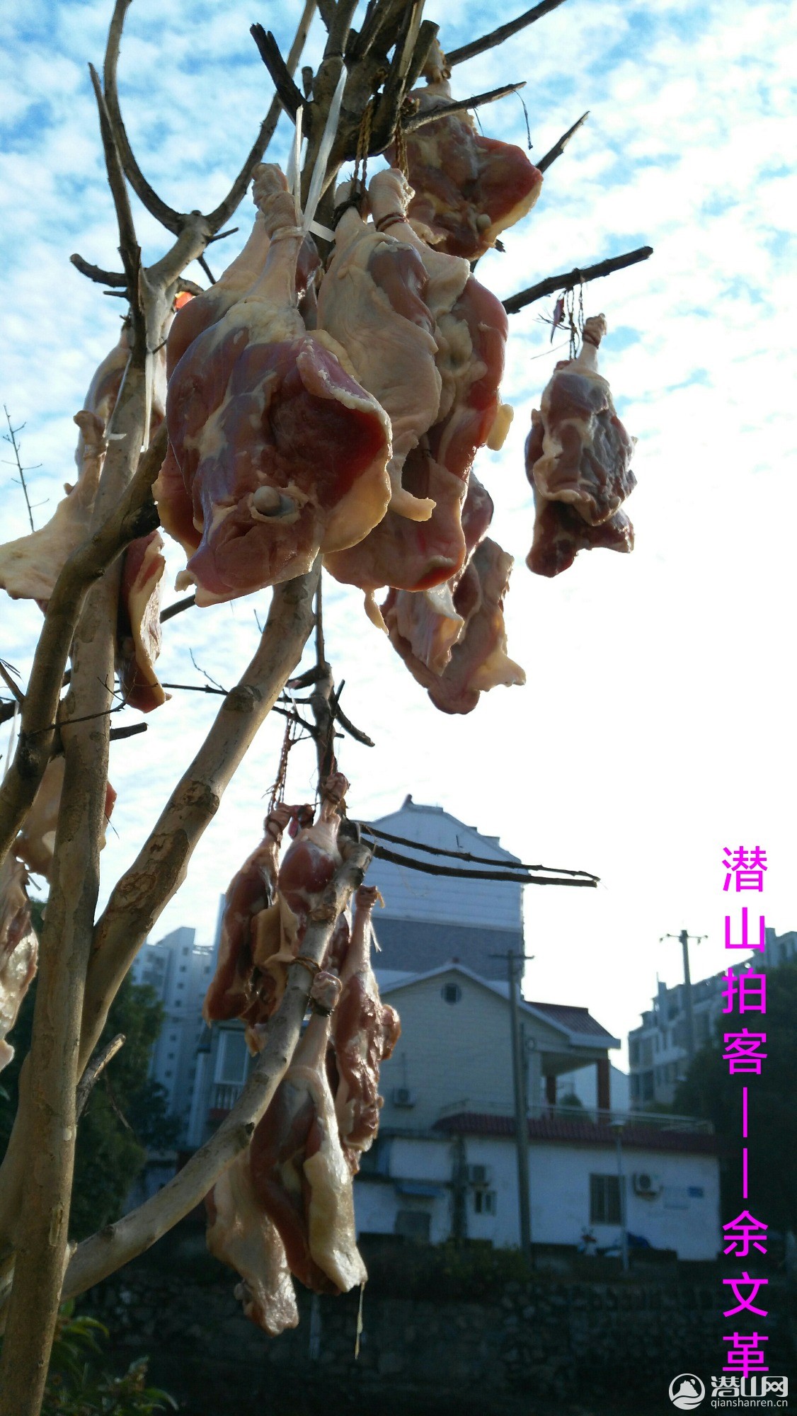 201612280910143.jpg