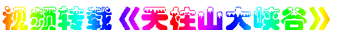 2856764836.gif