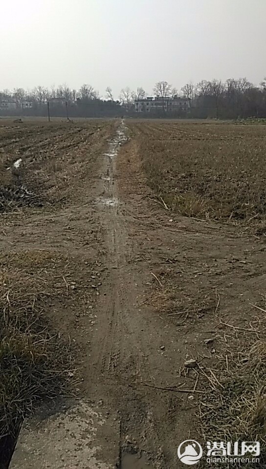 wx_camera_1486610180394.jpg
