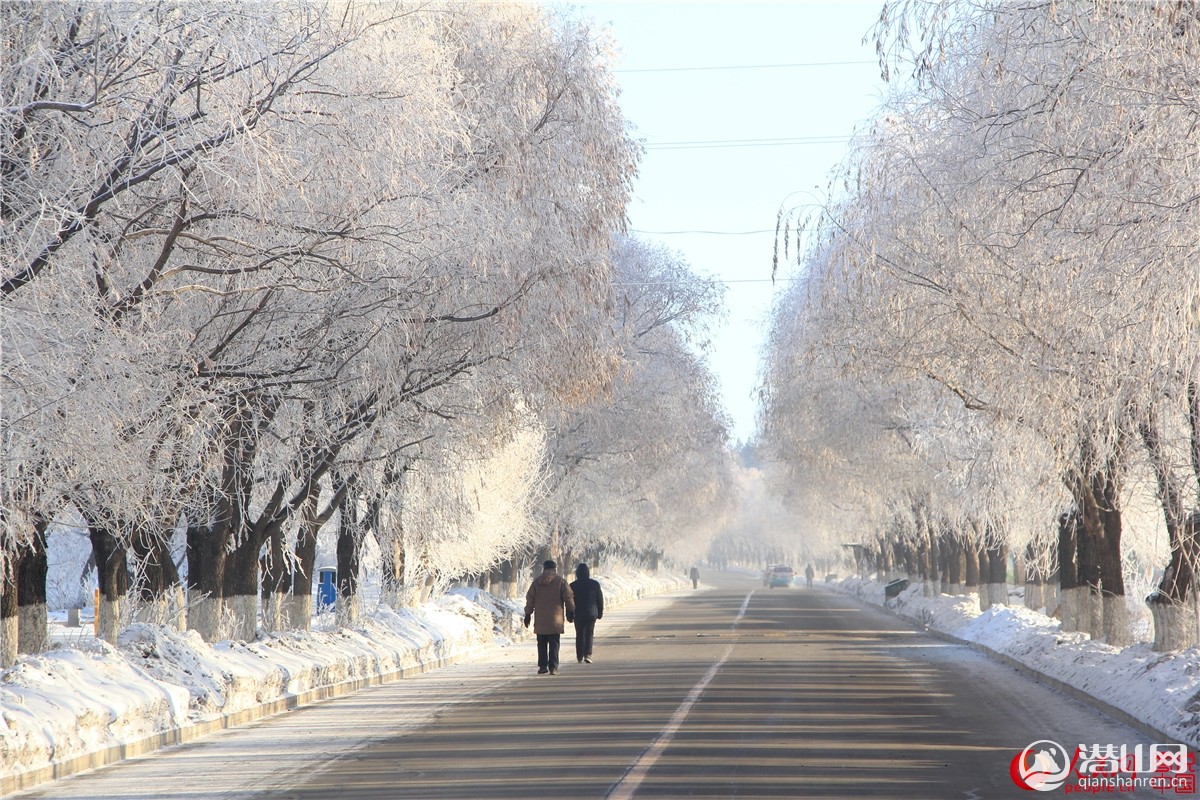 215521ctvps21flsnsfllp.jpg