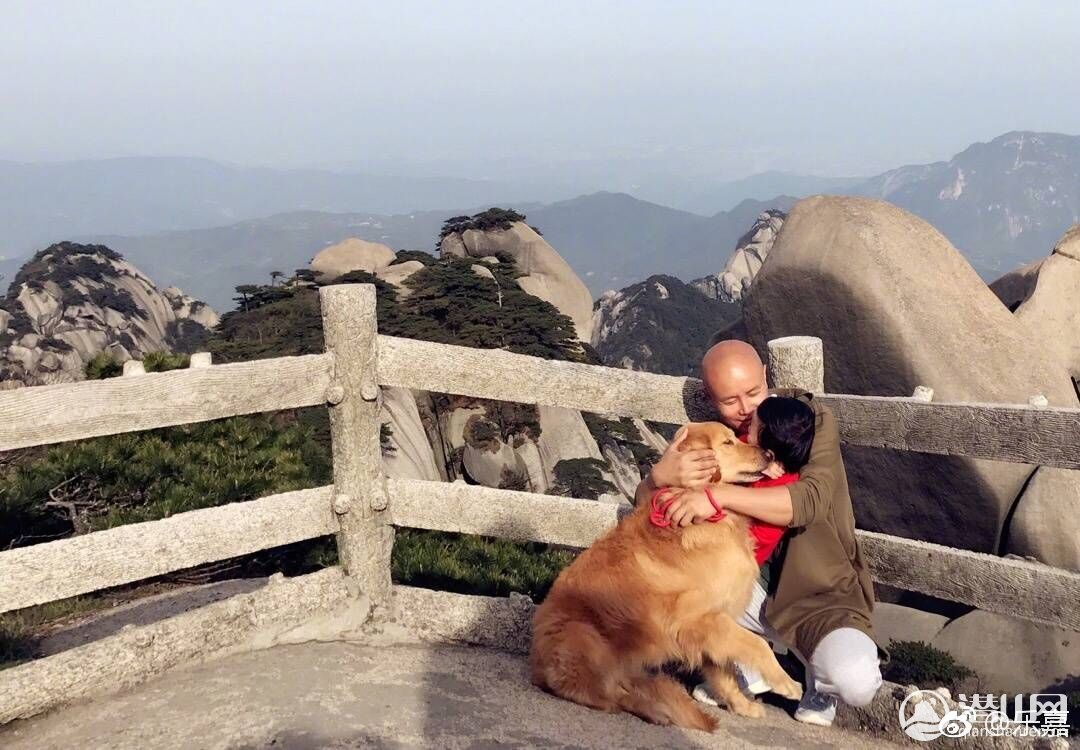 QQͼƬ20170417101442.jpg