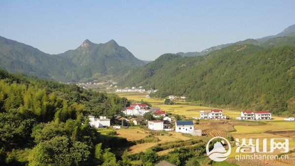 05.jpg