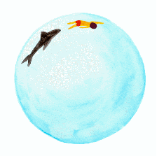 20170627025319533.gif