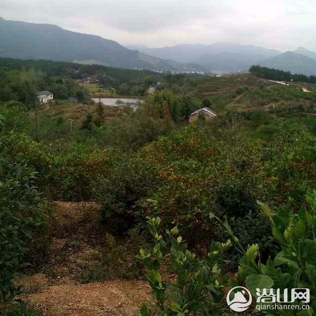 hdImg_9cc87c32694bcf5a9b4d56a4c3473f8b1508236687757.jpg