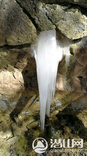 ôı