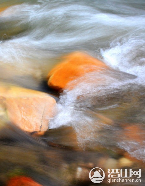 DSC_5882_.jpg