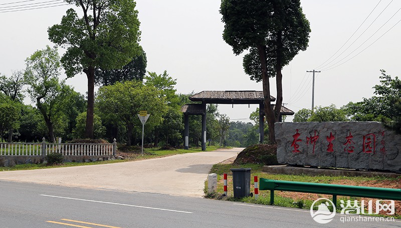 05.jpg