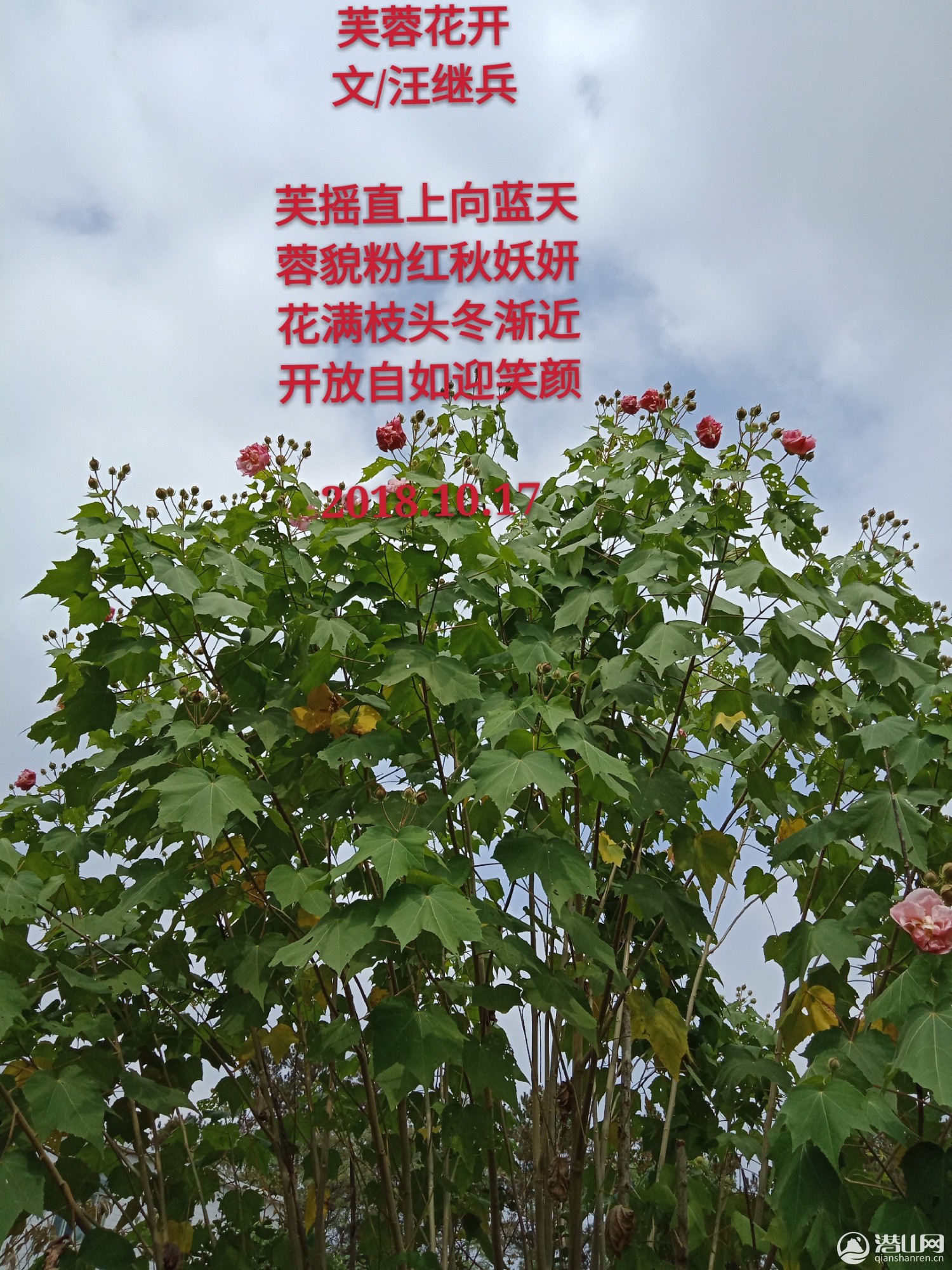 IMG20181016122004_mh1539739043743.jpg