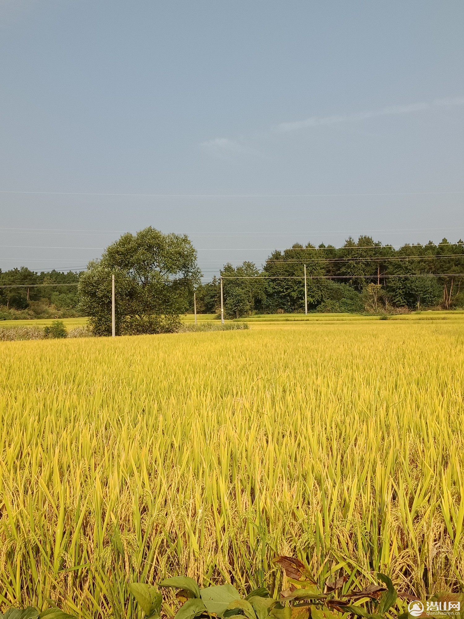 IMG20180912080354.jpg