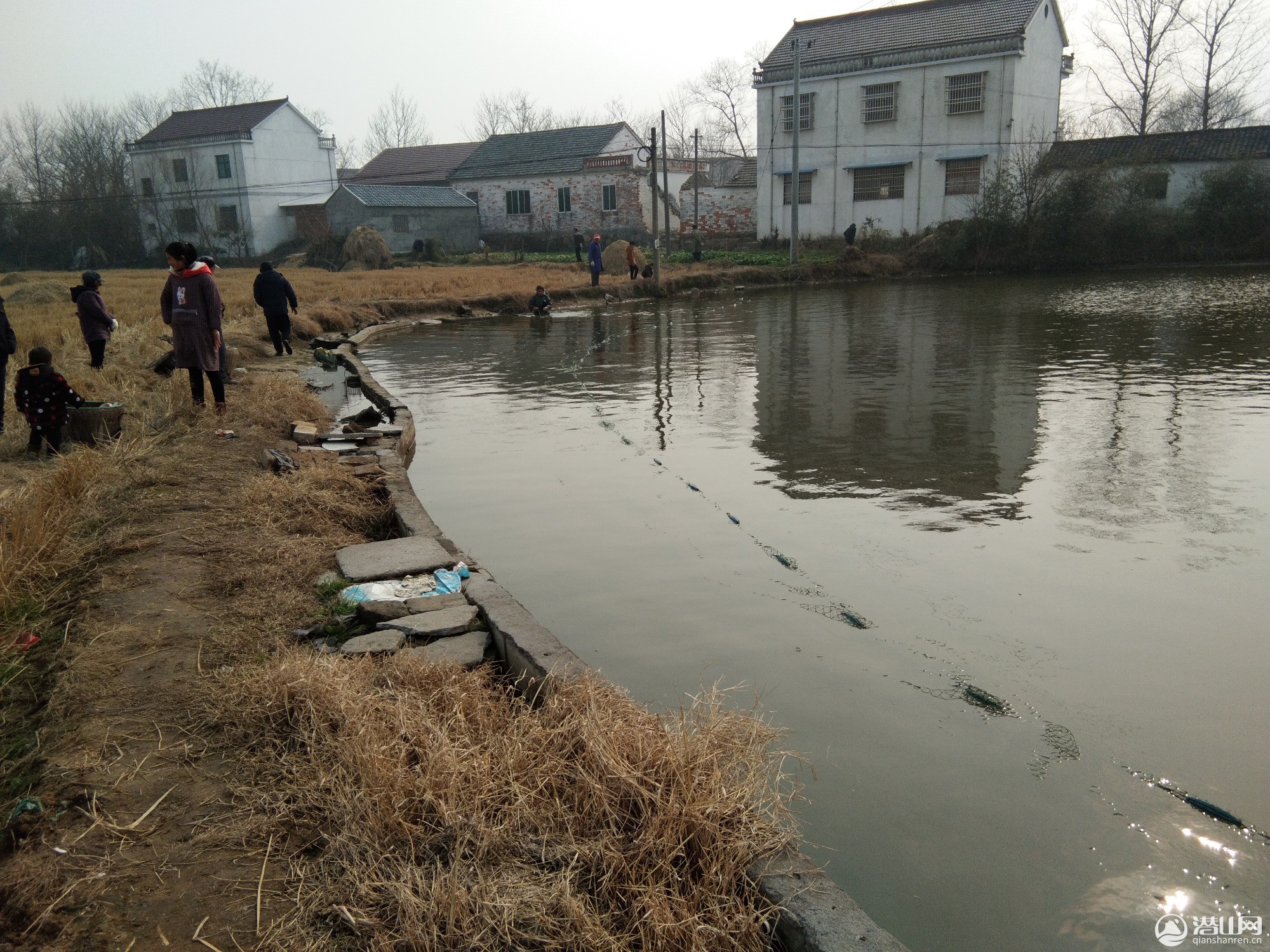 IMG_20190120_140523.jpg