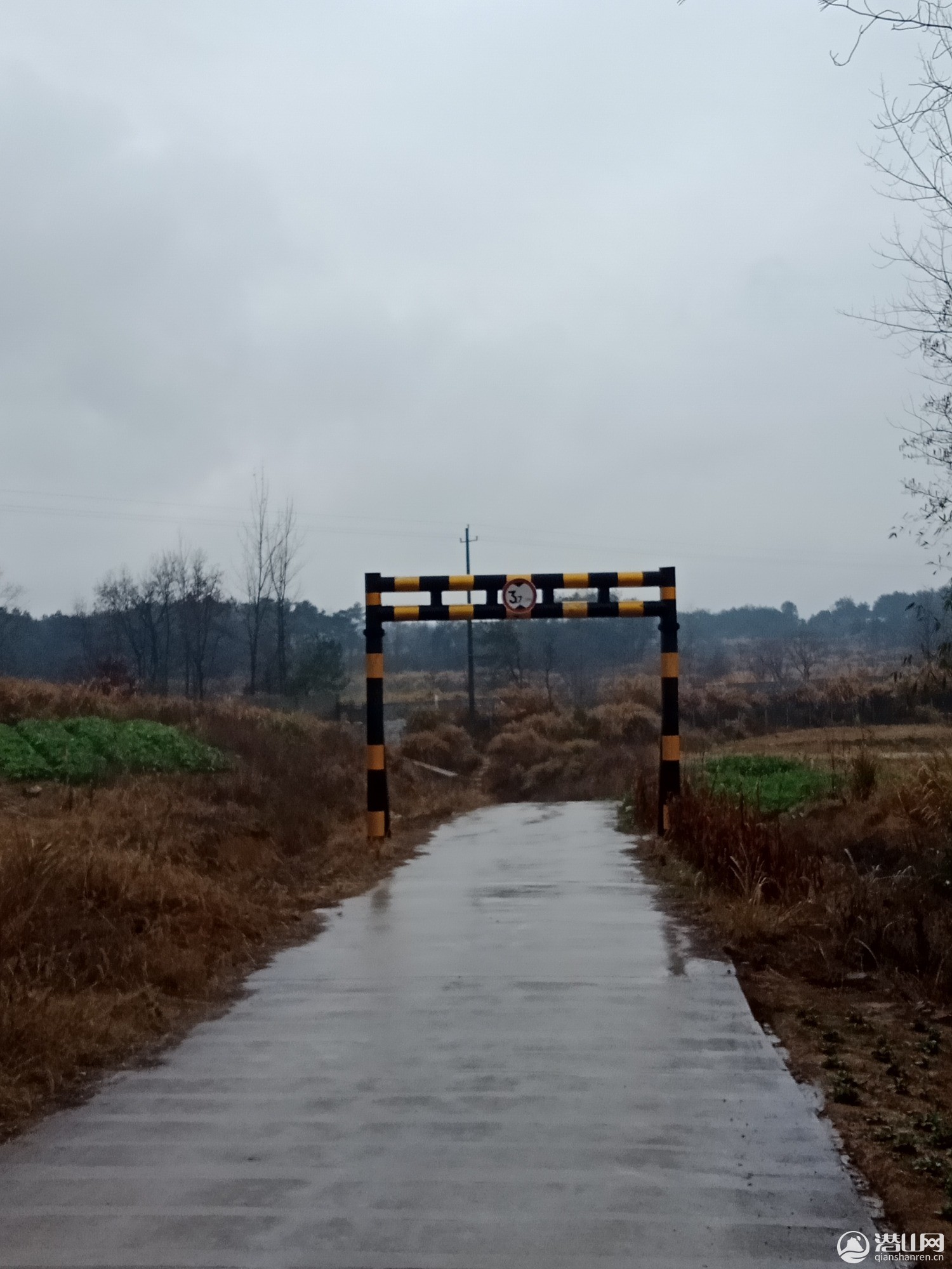 IMG20190215115914.jpg