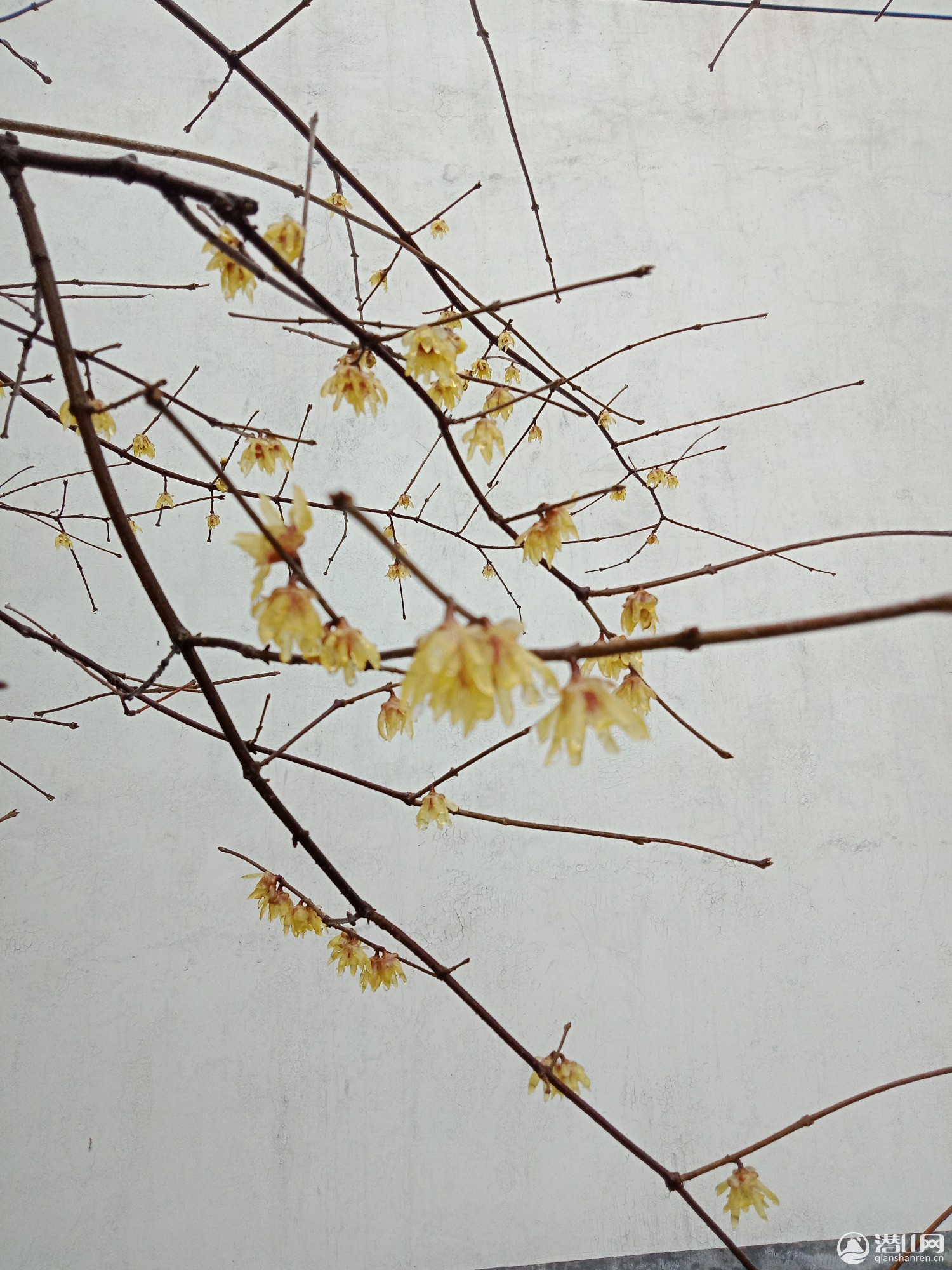 IMG20190215115239.jpg