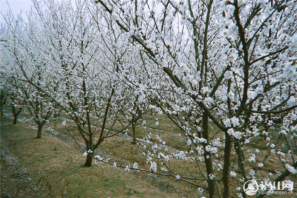 ΢ͼƬ_20190321101527.jpg