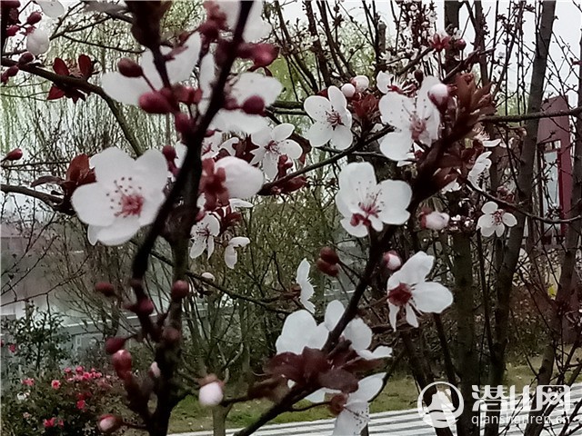 144553f10xmfltmj1j0nxx.jpg