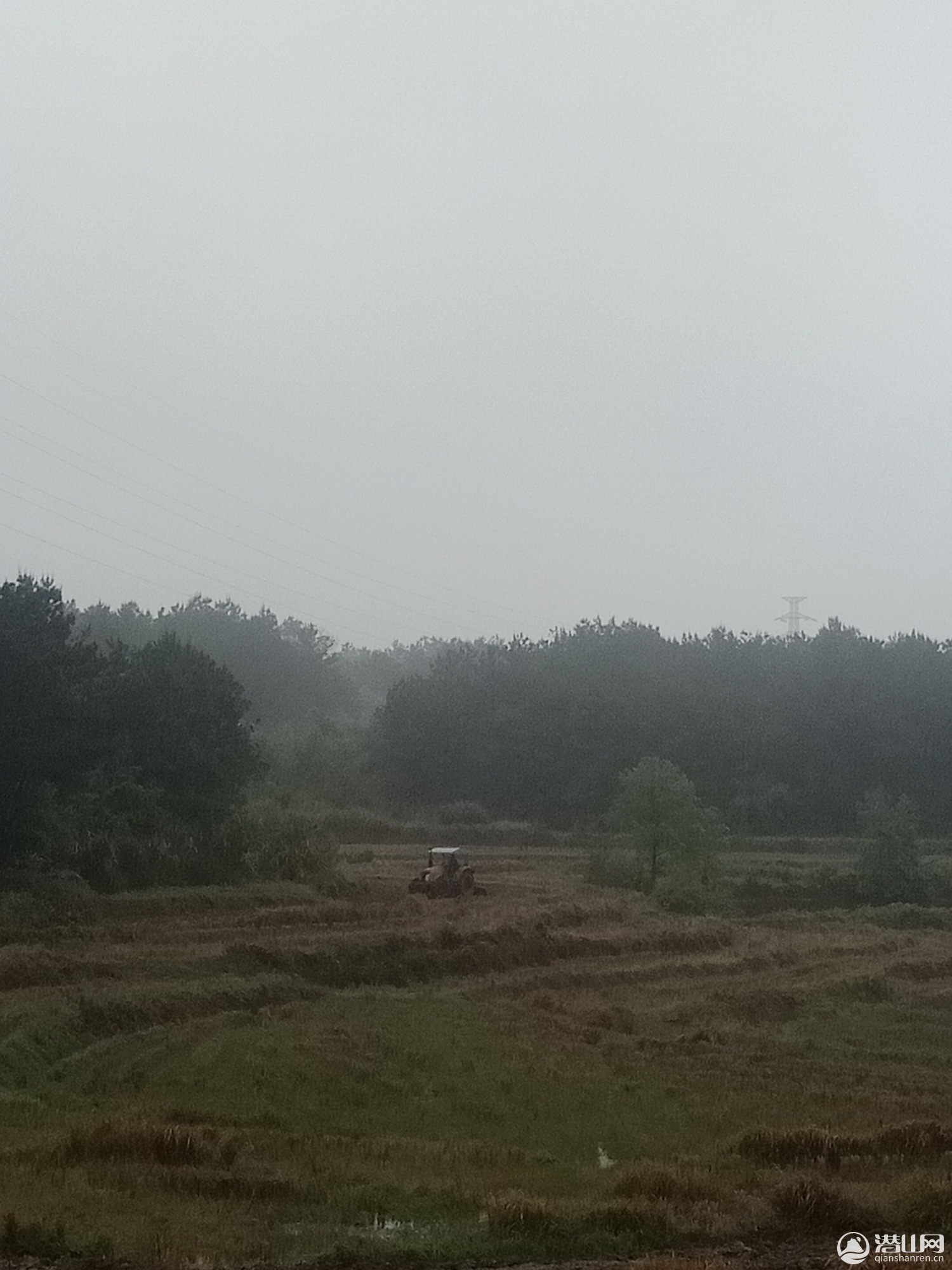 IMG20190423075552.jpg