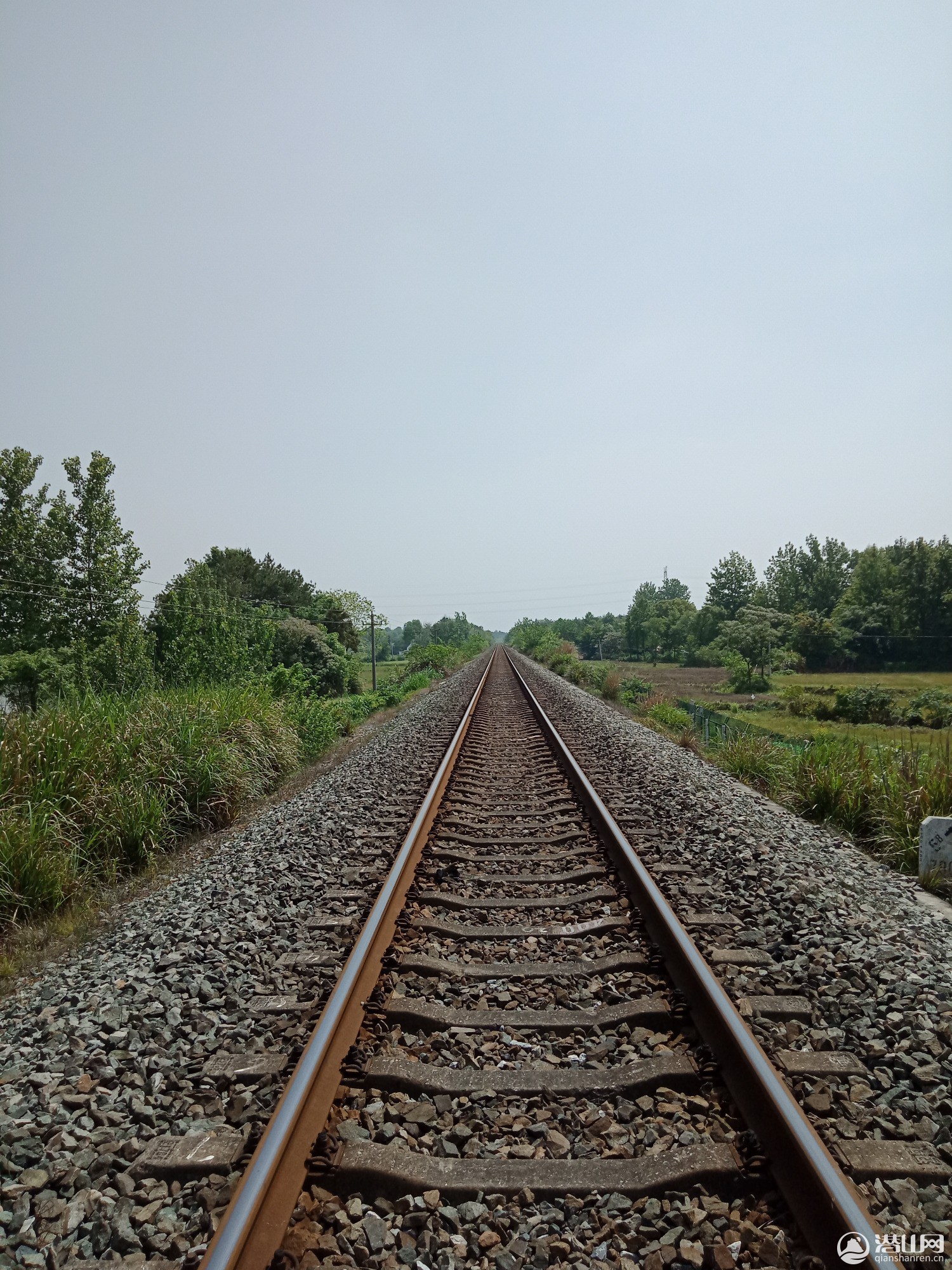 IMG20190501103452.jpg