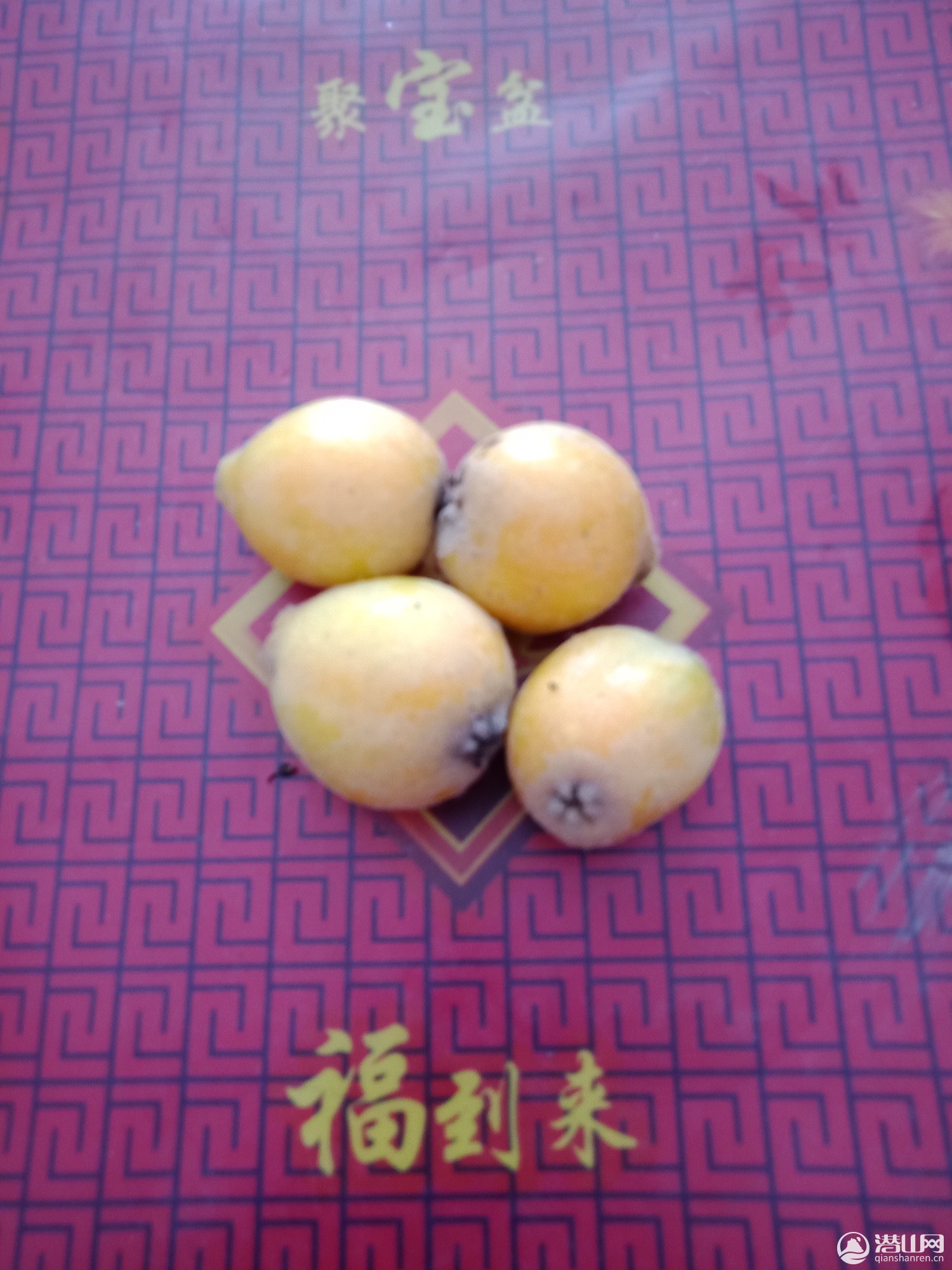 IMG20190508124413.jpg