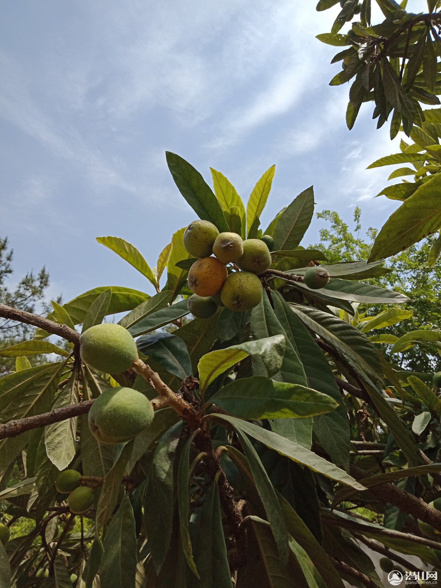 IMG20190508123819.jpg