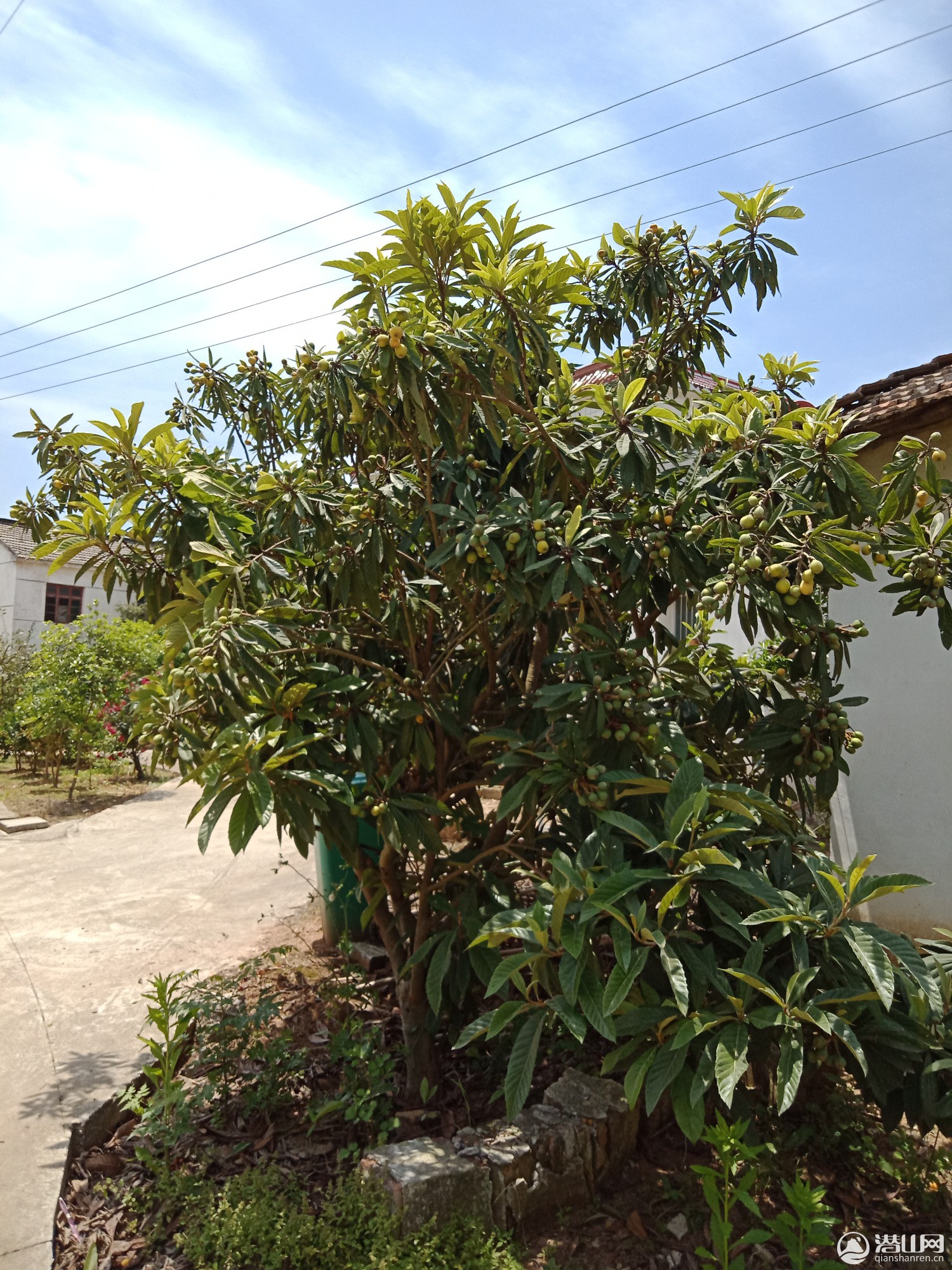 IMG20190508123030.jpg