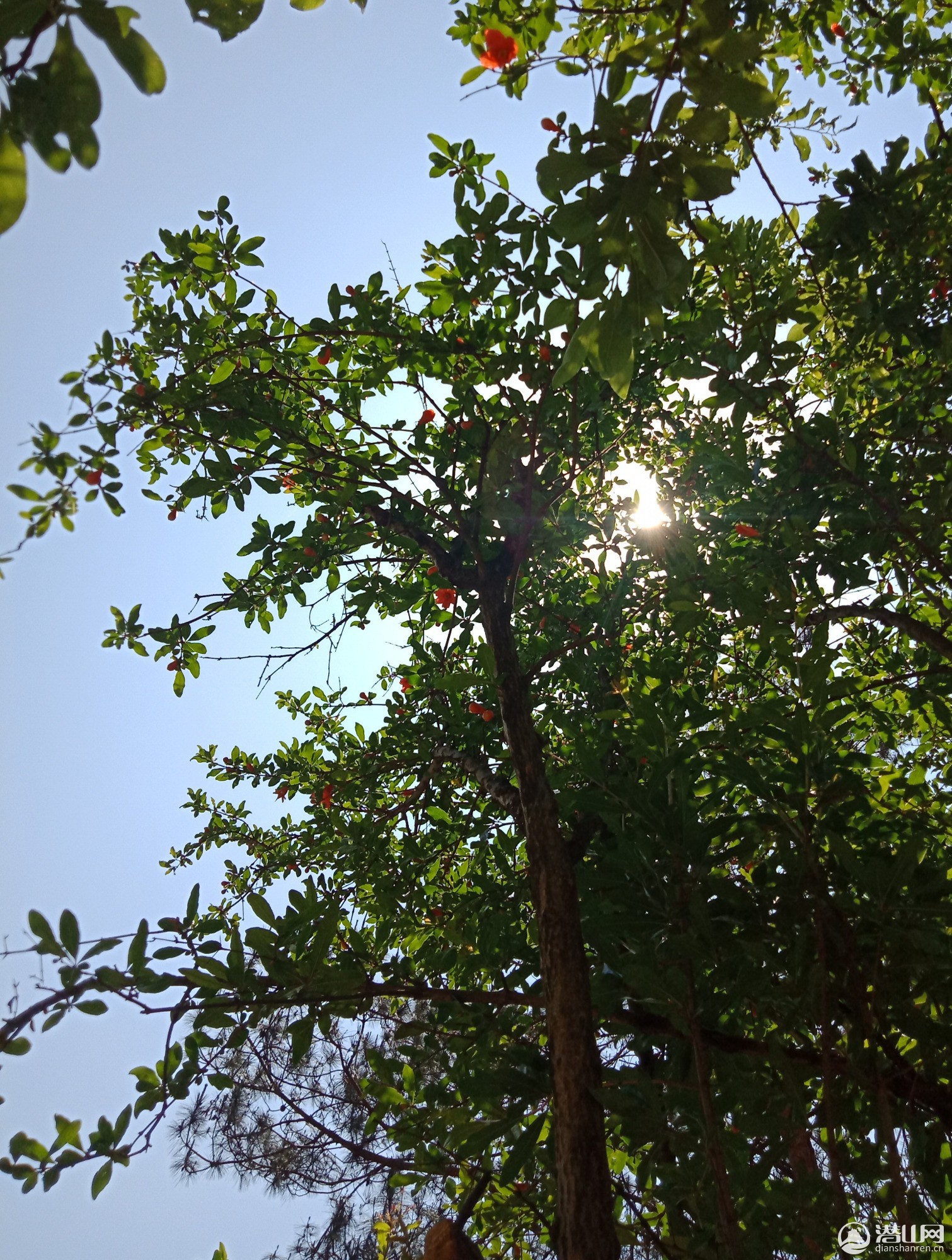 IMG_20190509_105915.jpg