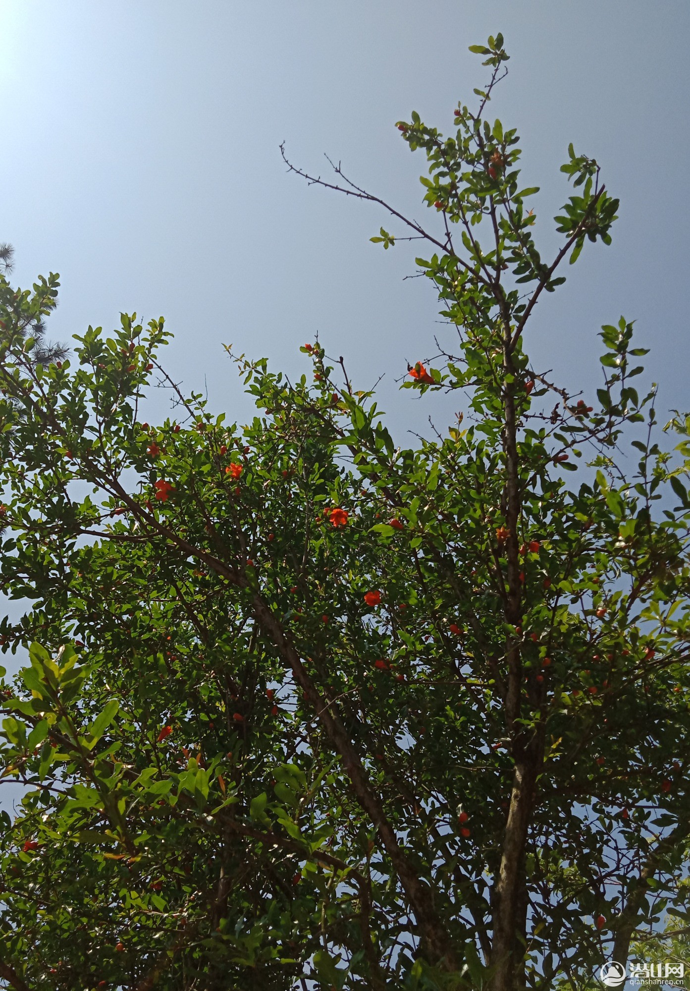 IMG_20190509_110055.jpg