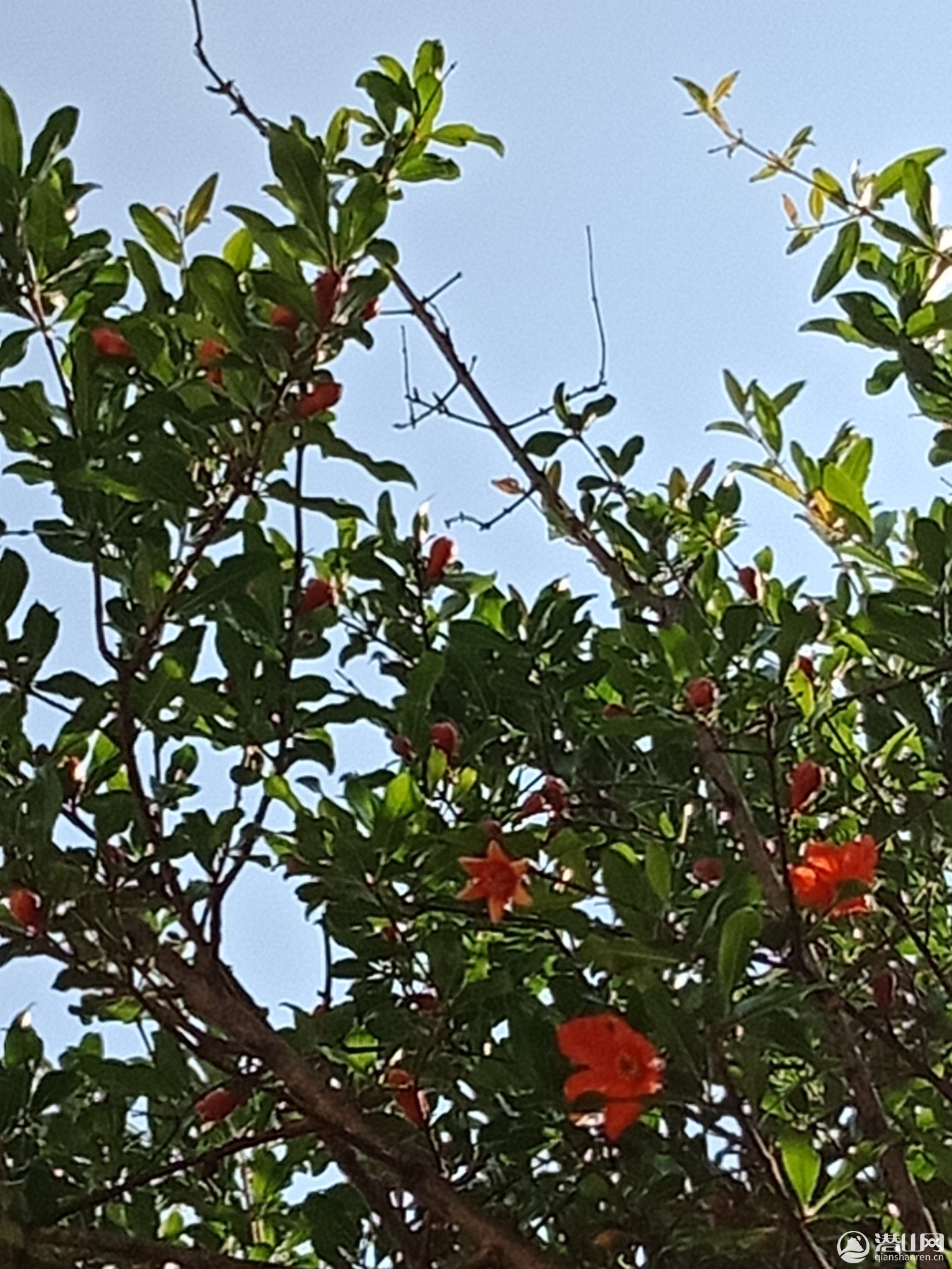 IMG_20190508_154943.jpg