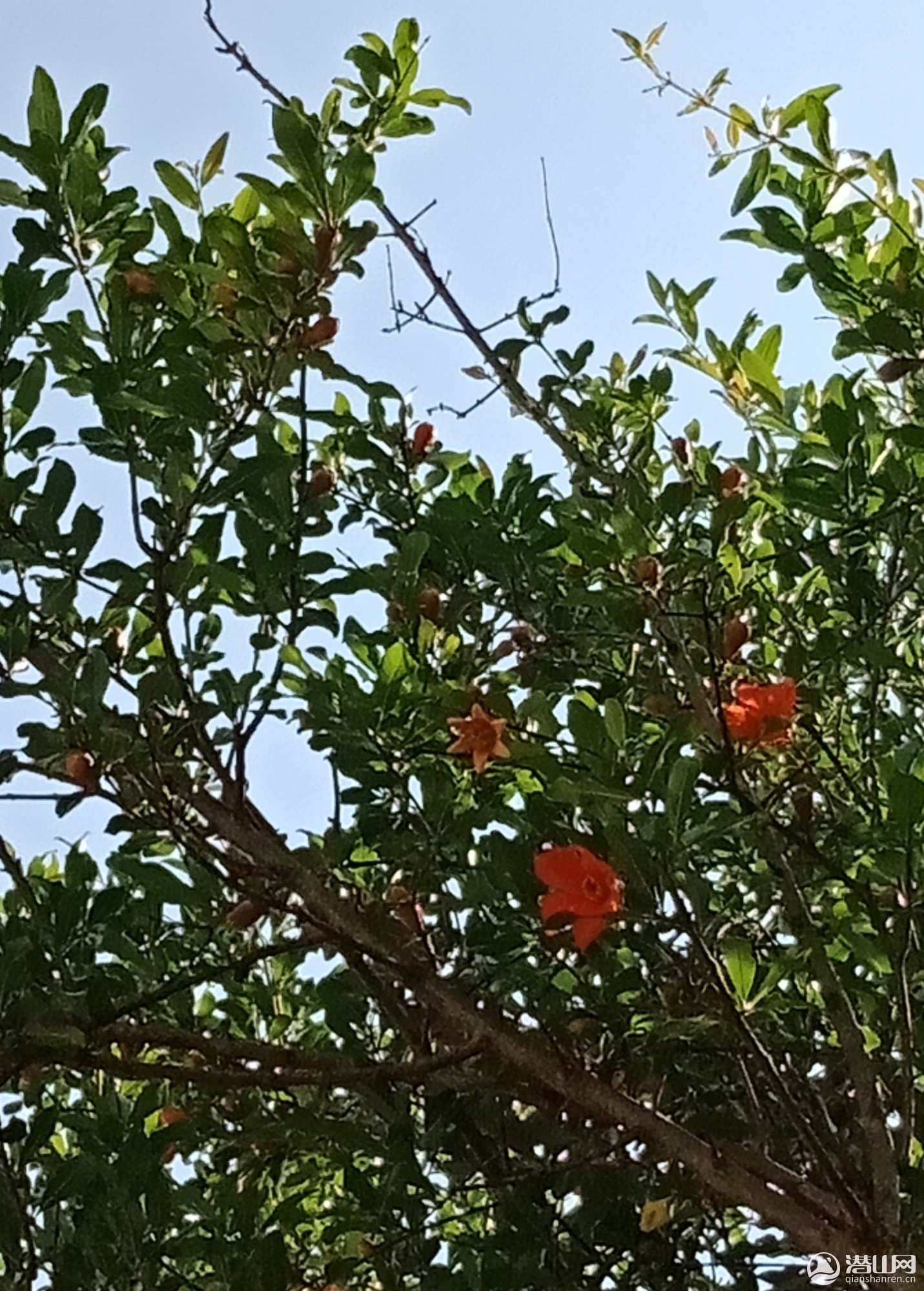 IMG_20190508_155030.jpg