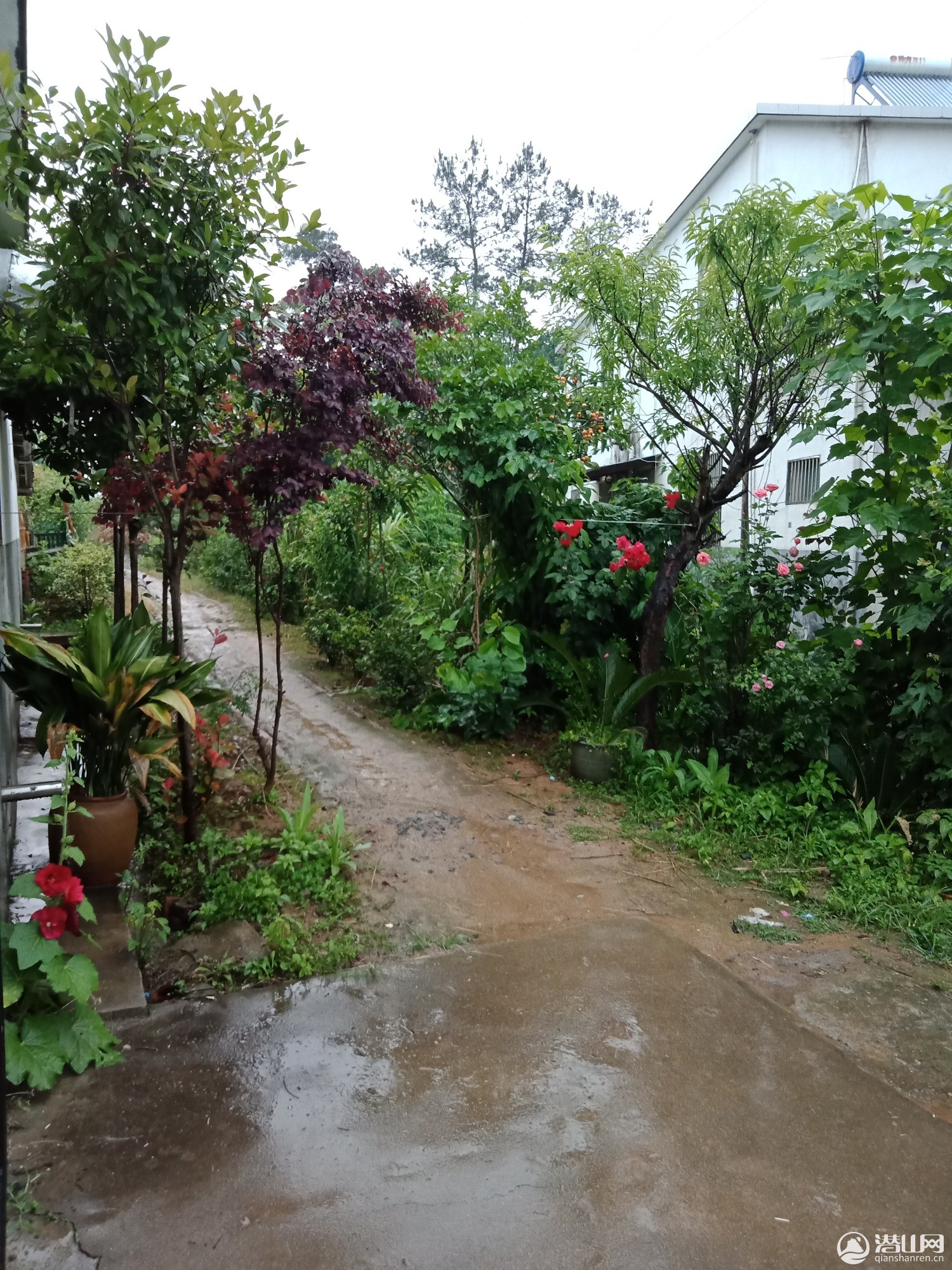 IMG20190525083028.jpg