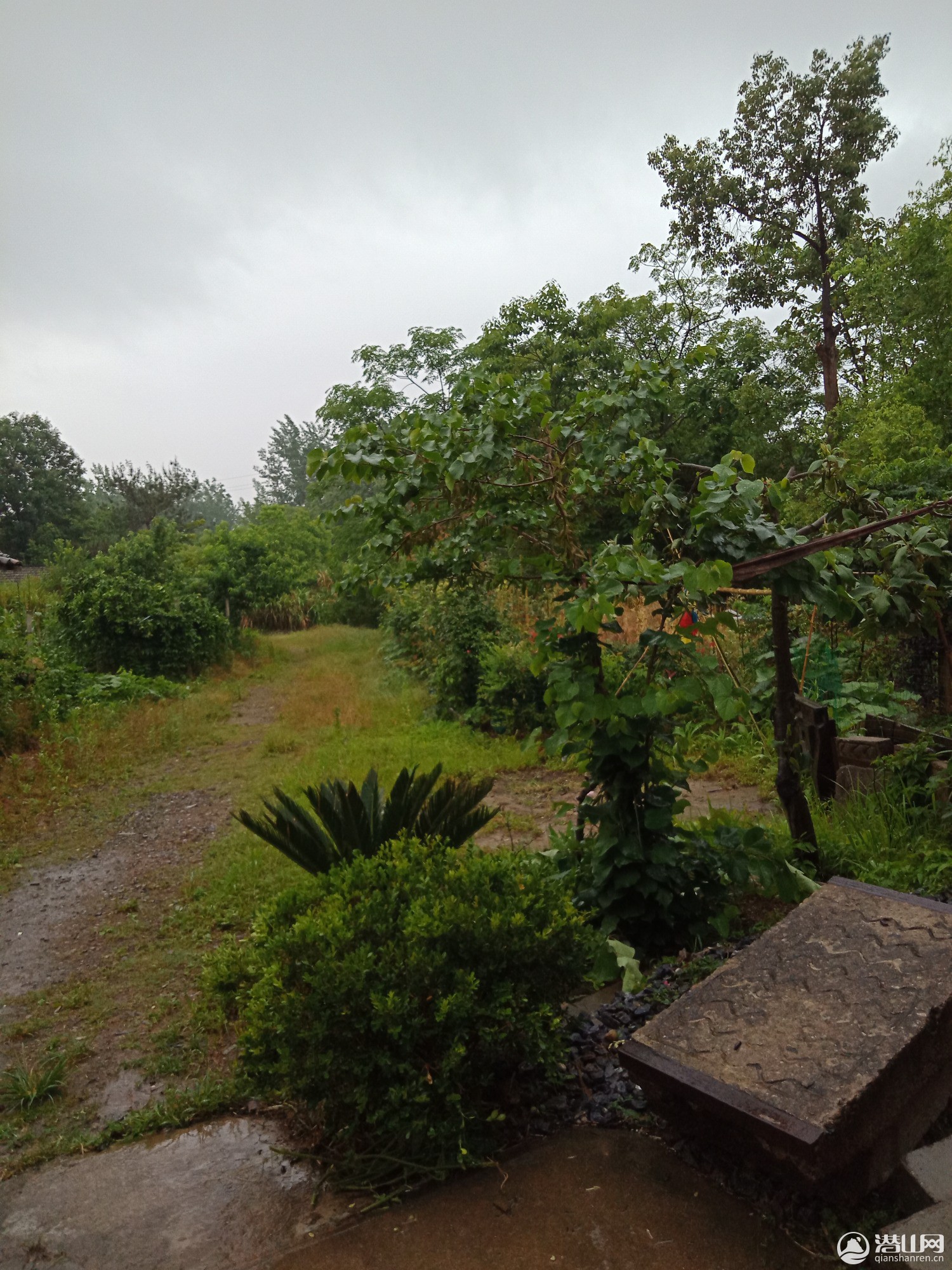 IMG20190525083105.jpg