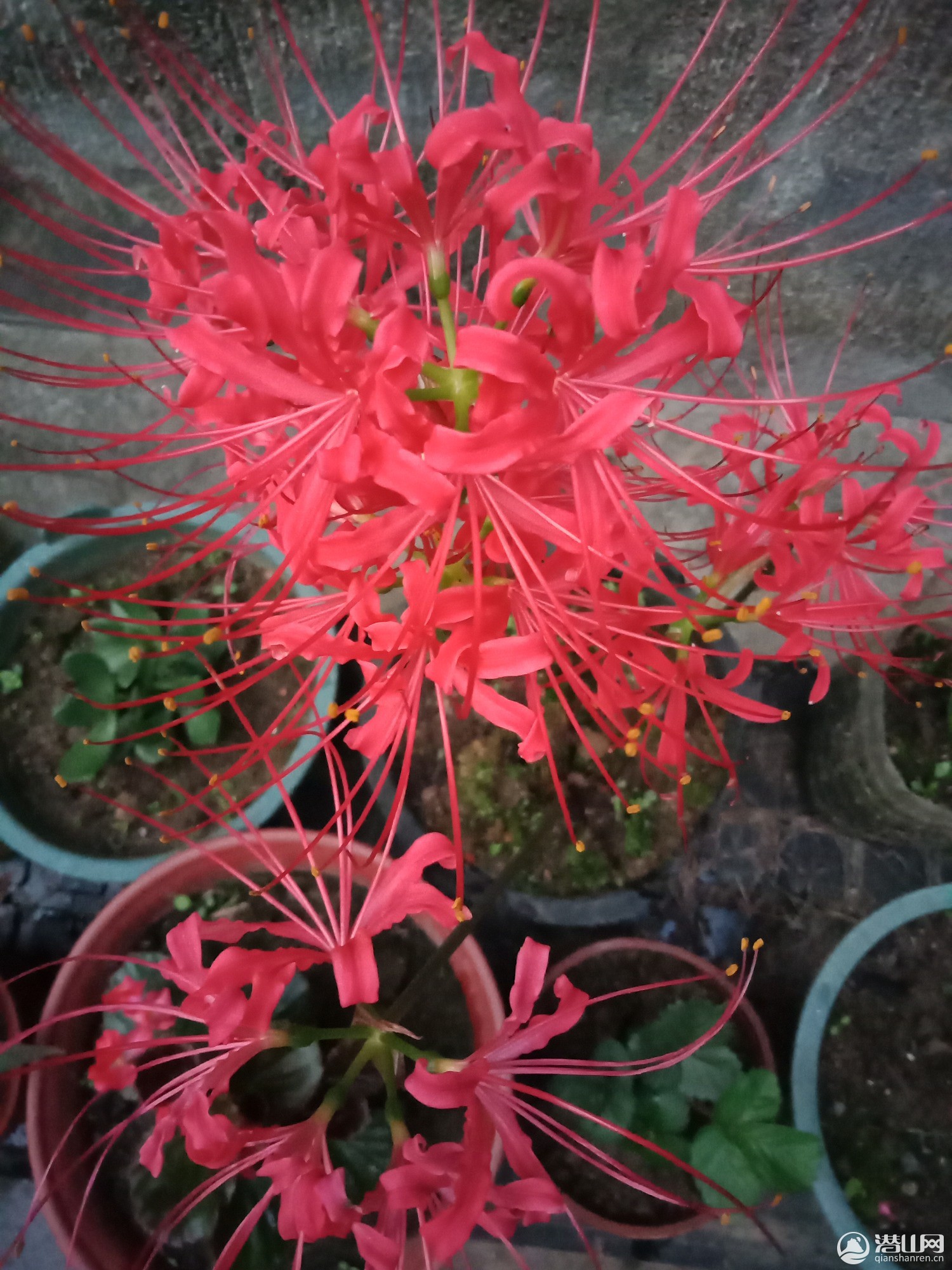 IMG20190907054508.jpg
