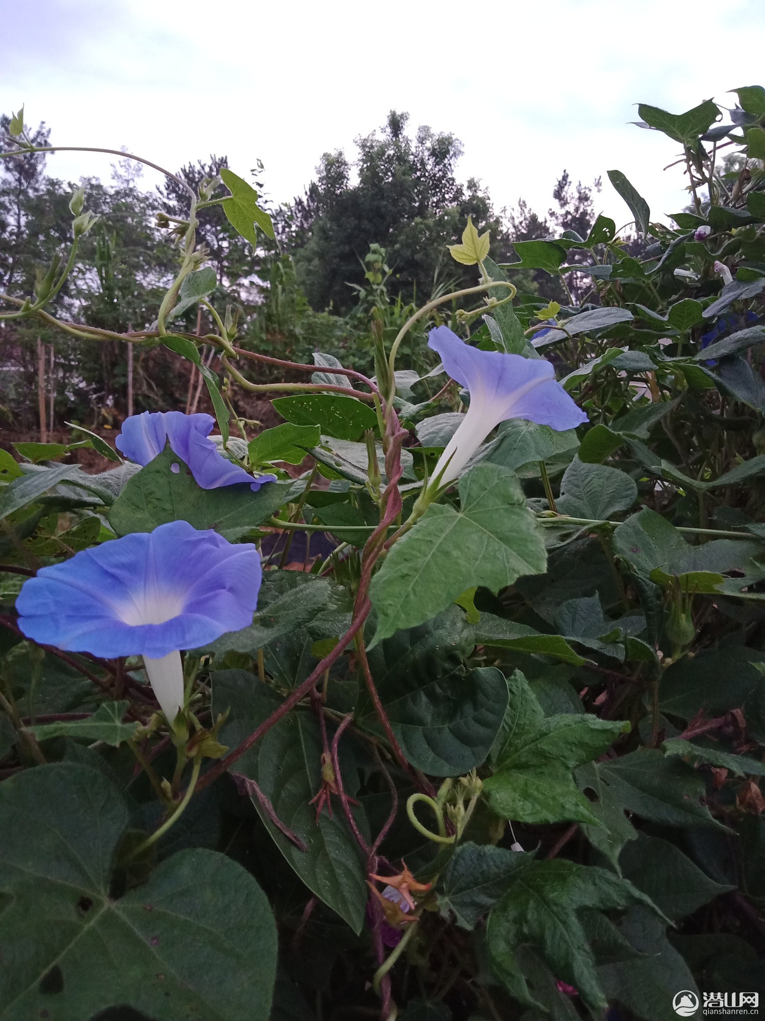 IMG20190907055104.jpg