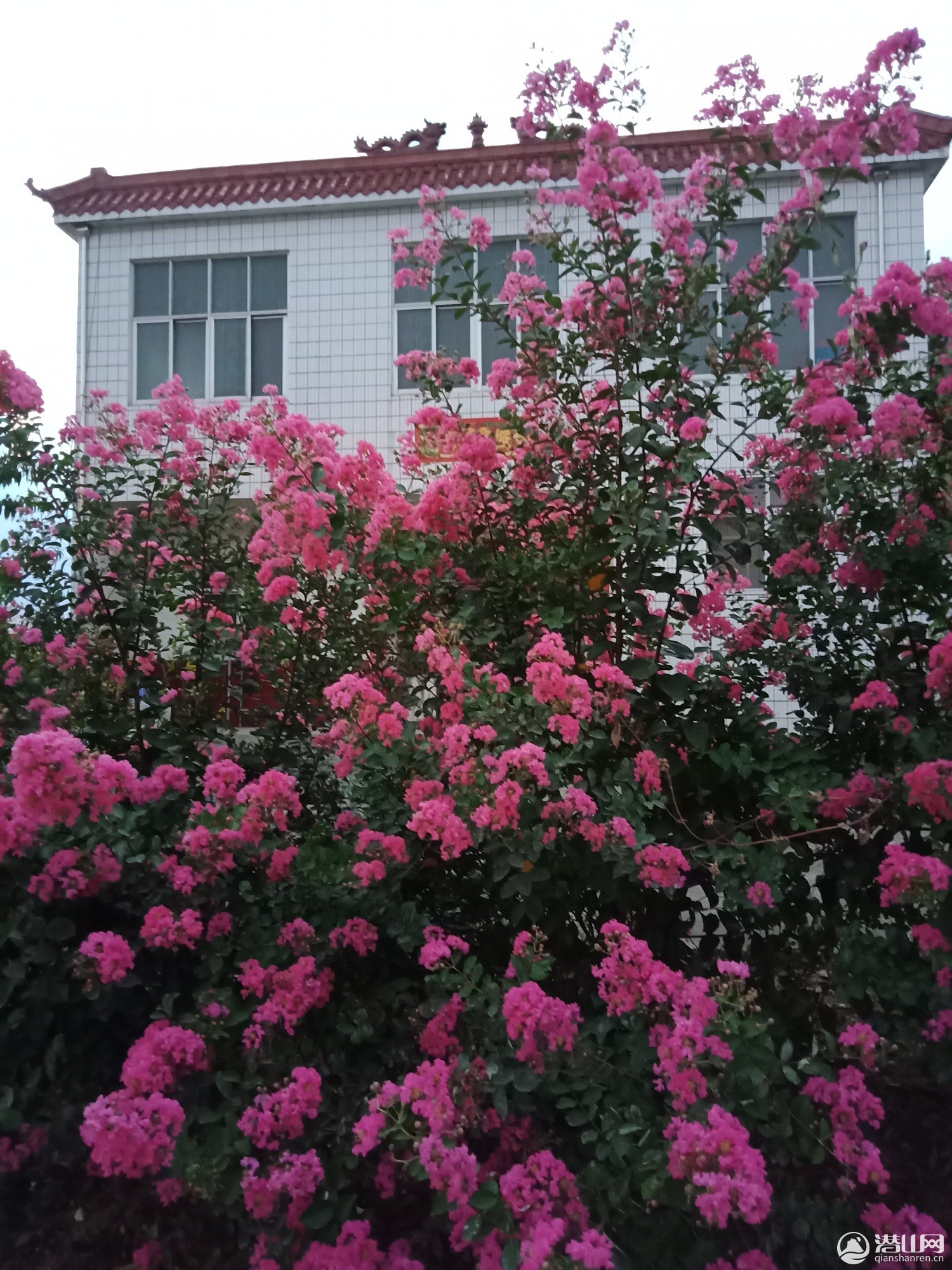 IMG20190827185007.jpg