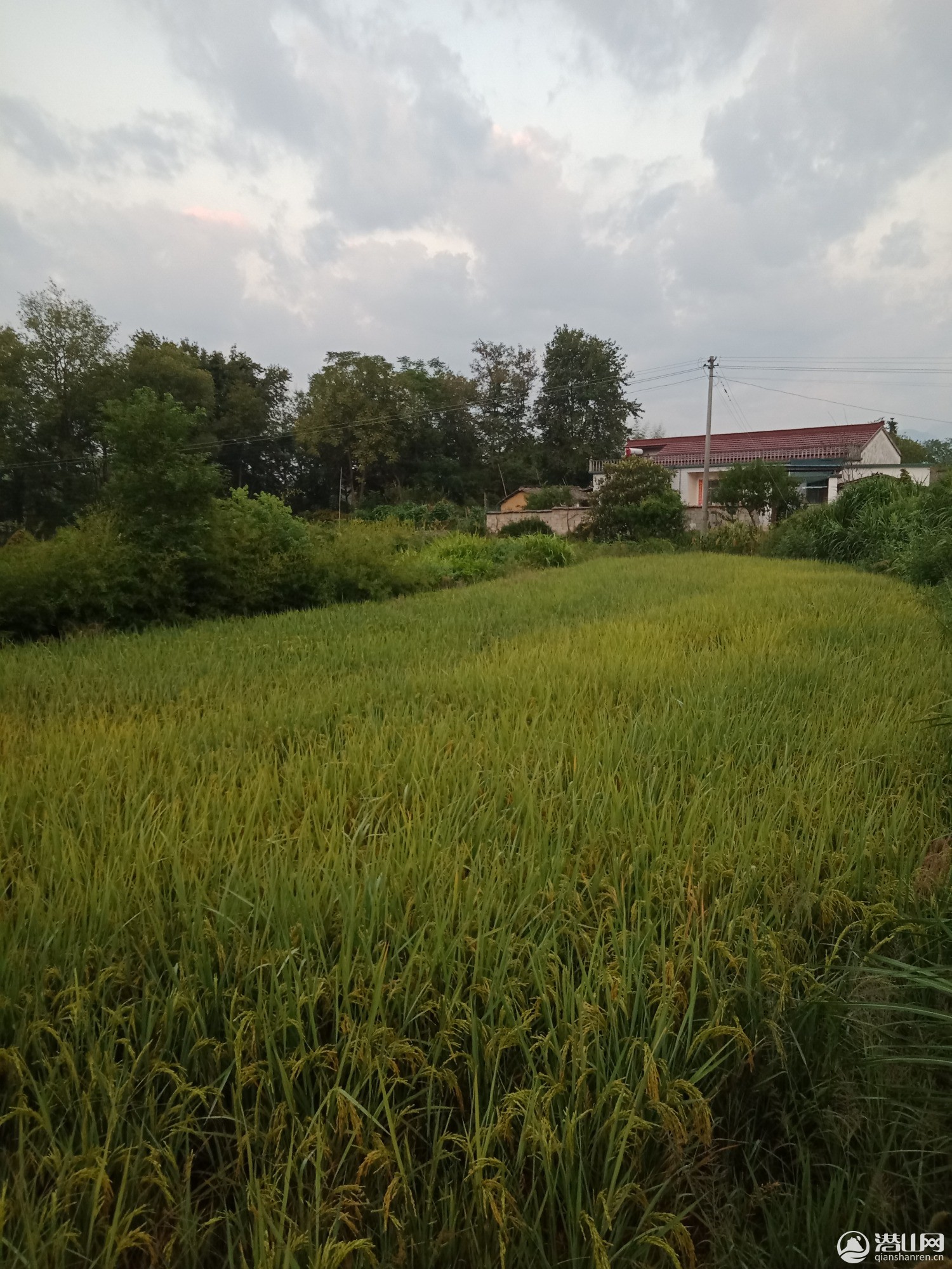 IMG20190907055526.jpg