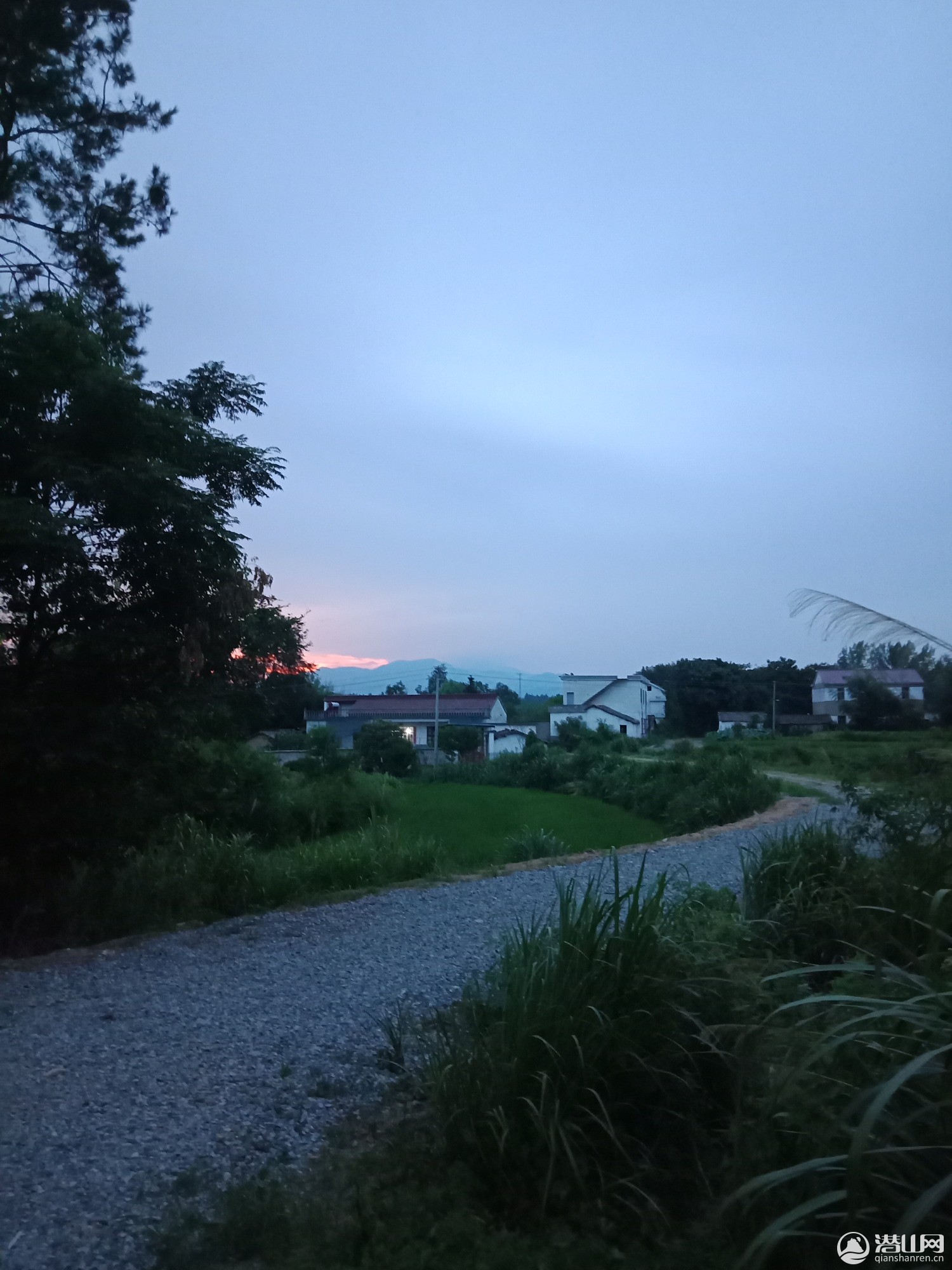 IMG20190807191504.jpg