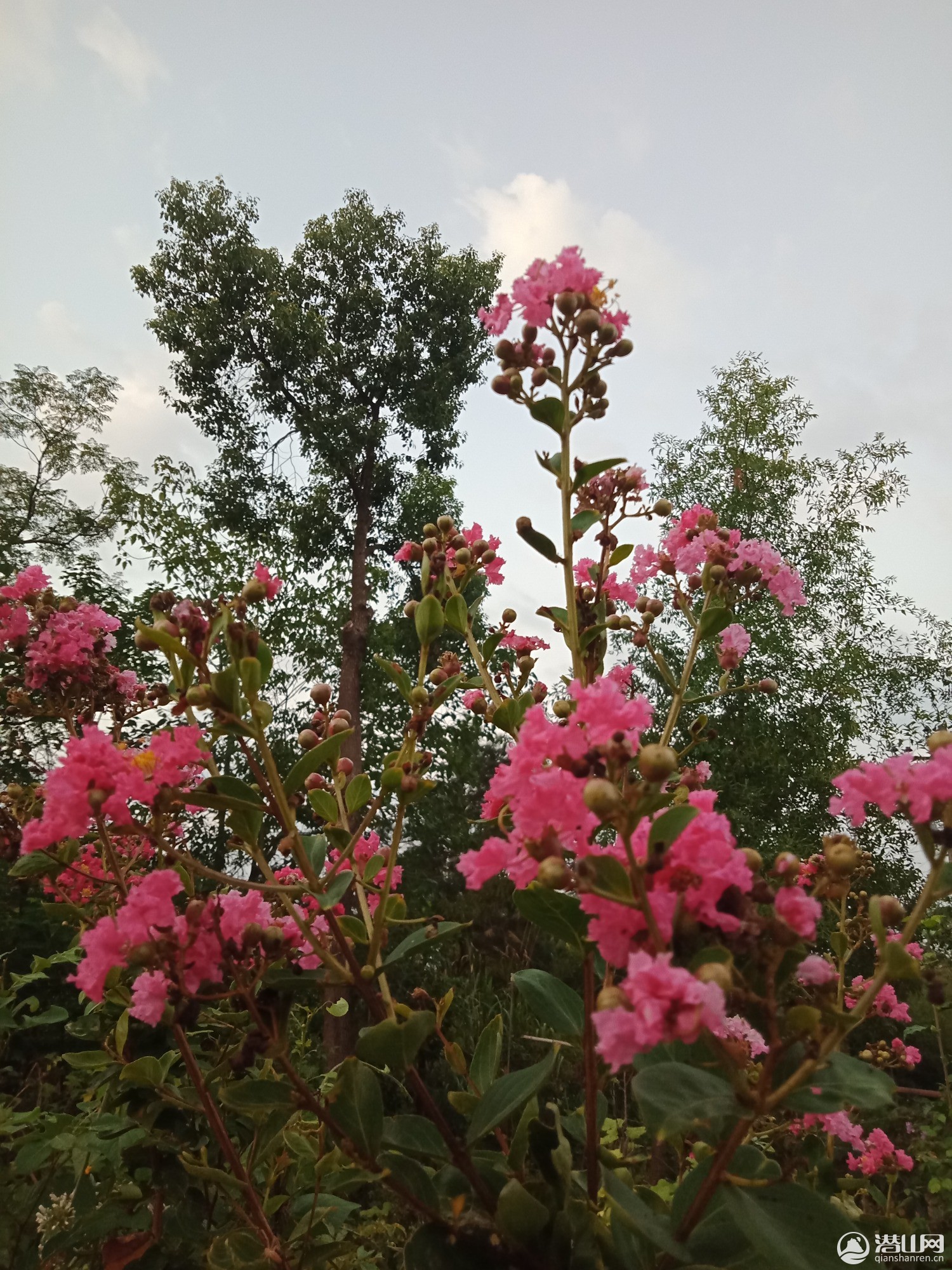 IMG20190907055028.jpg
