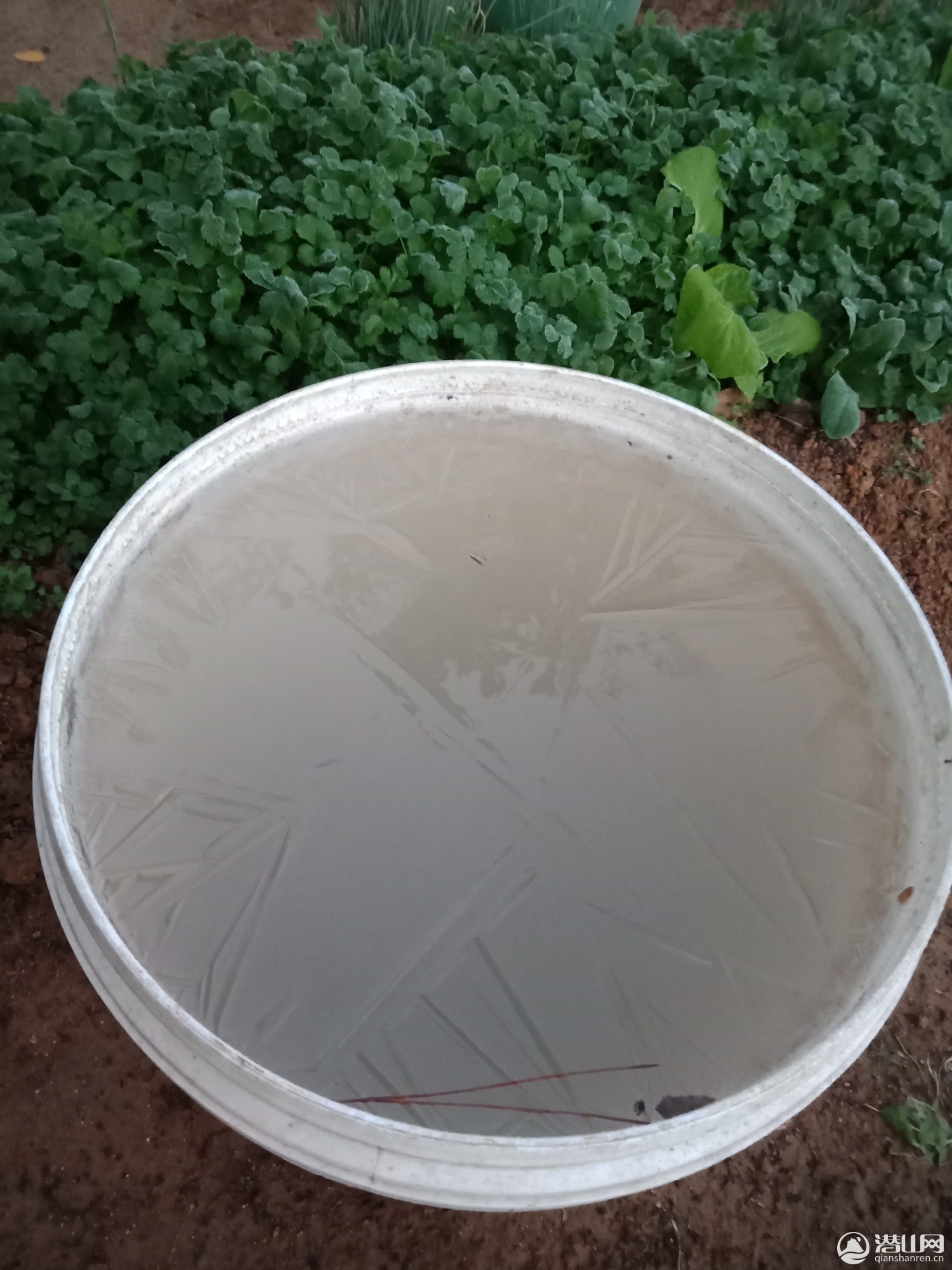 IMG20191119063152.jpg