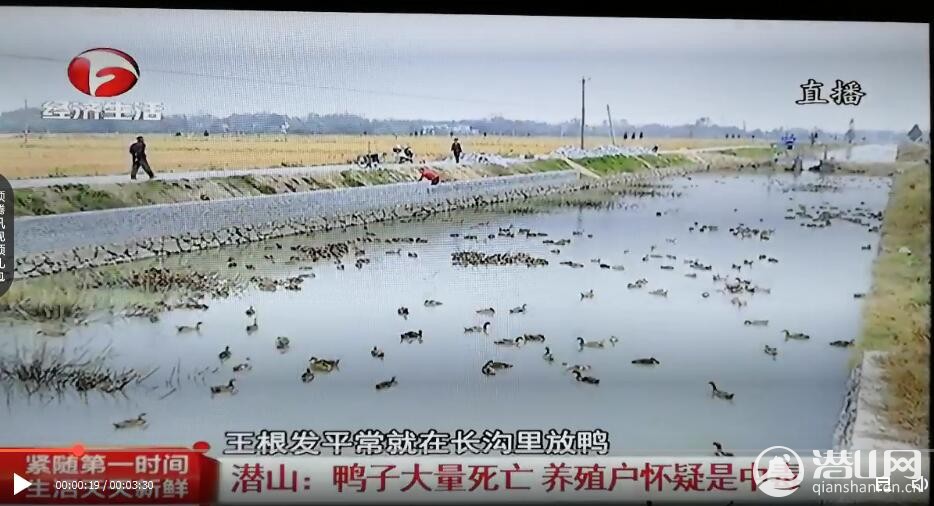 TIMͼƬ20191120170313.jpg