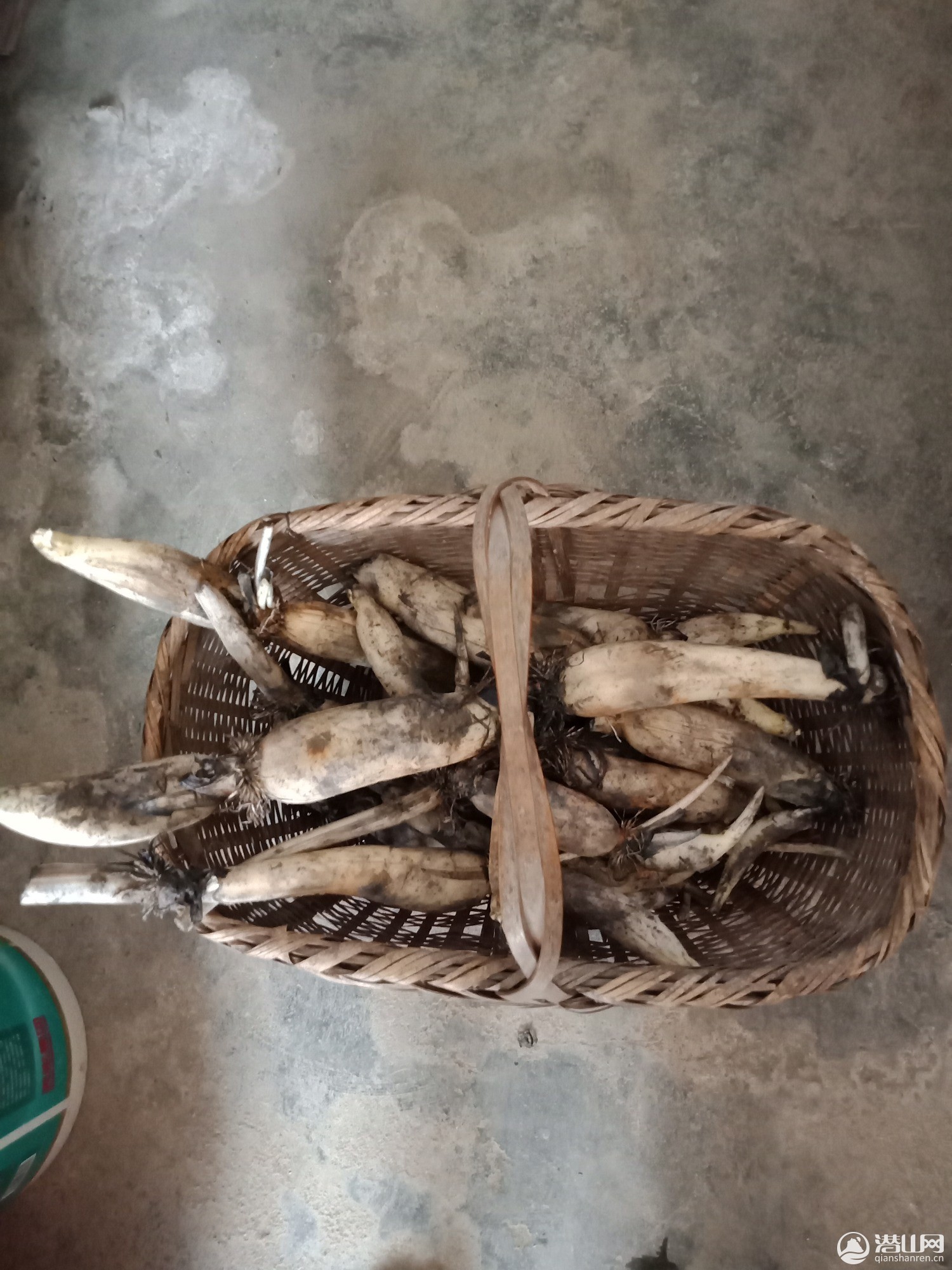 IMG20190819163440.jpg