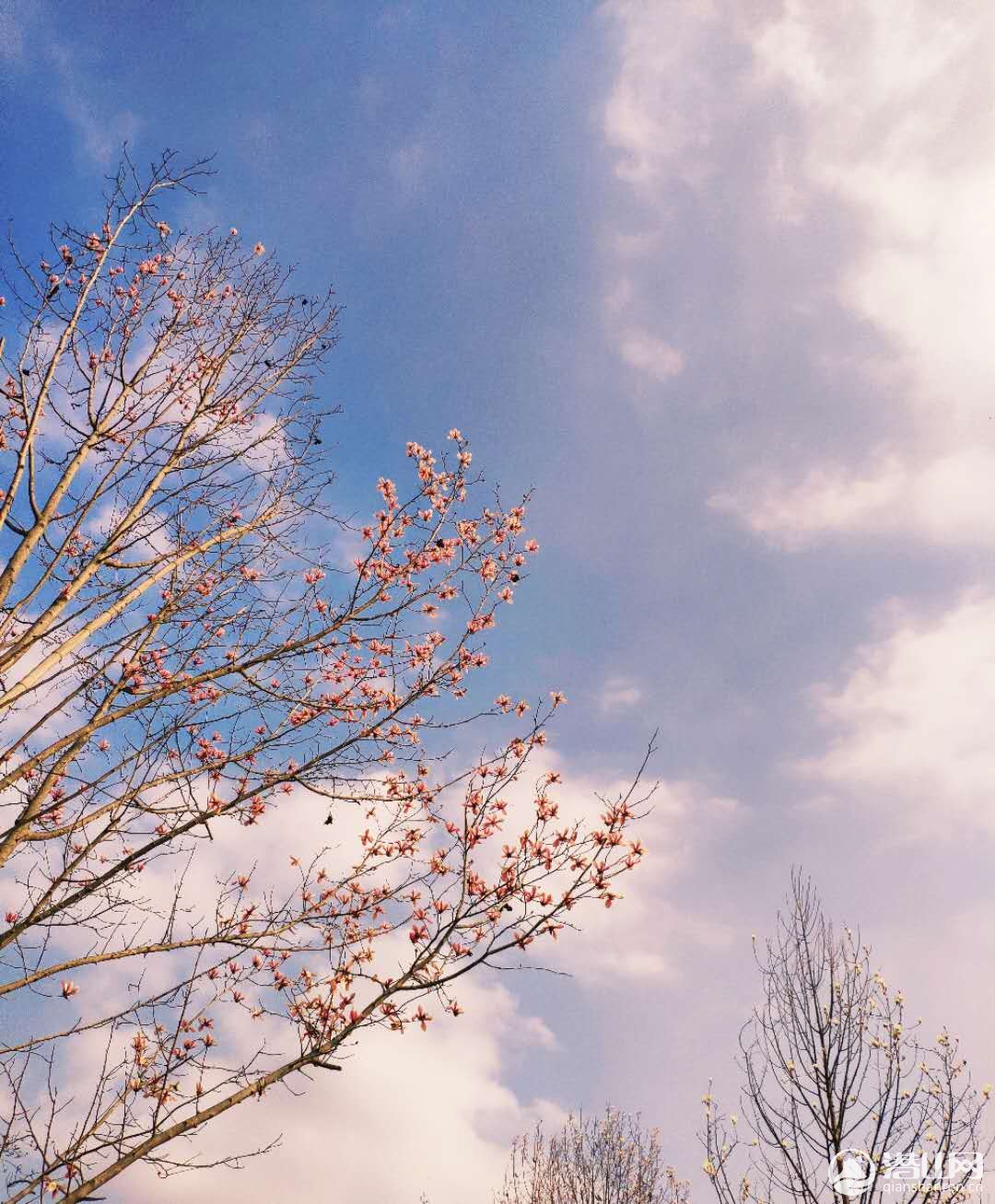 ΢ͼƬ_20200309104556.jpg