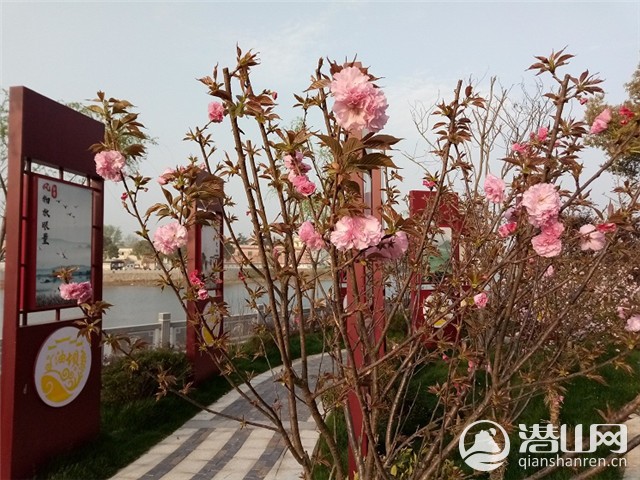 20180330102007231.jpg