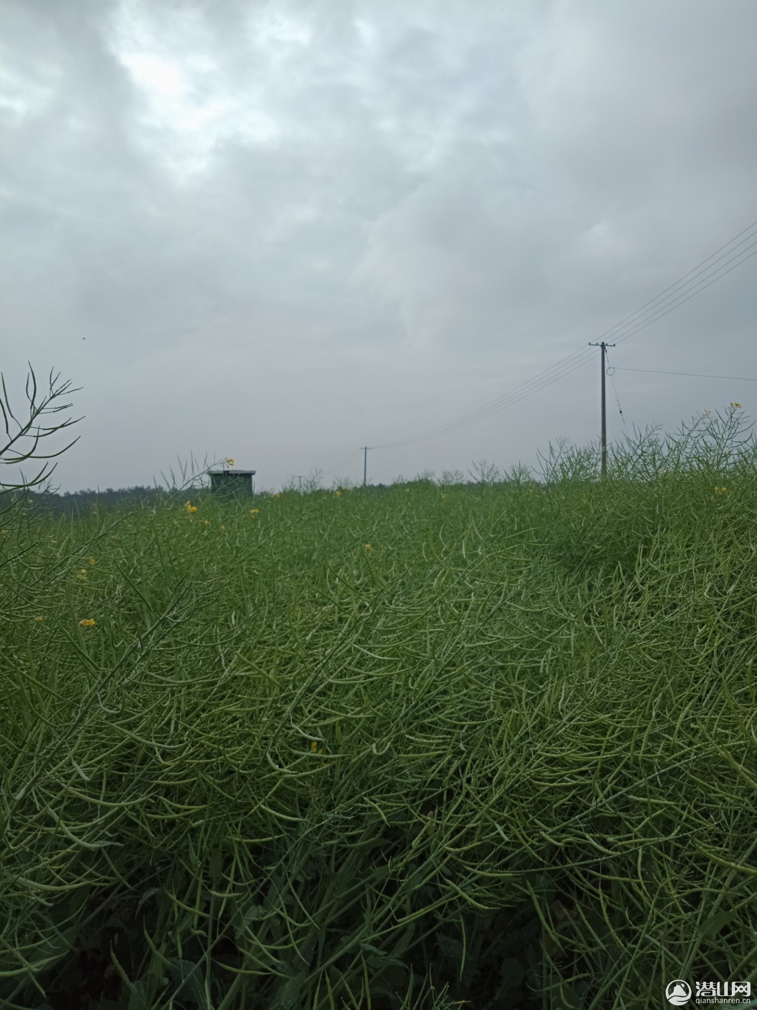 IMG20200401091155.jpg