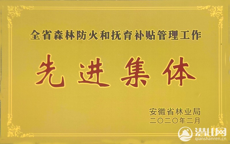 20200417102145382.jpg