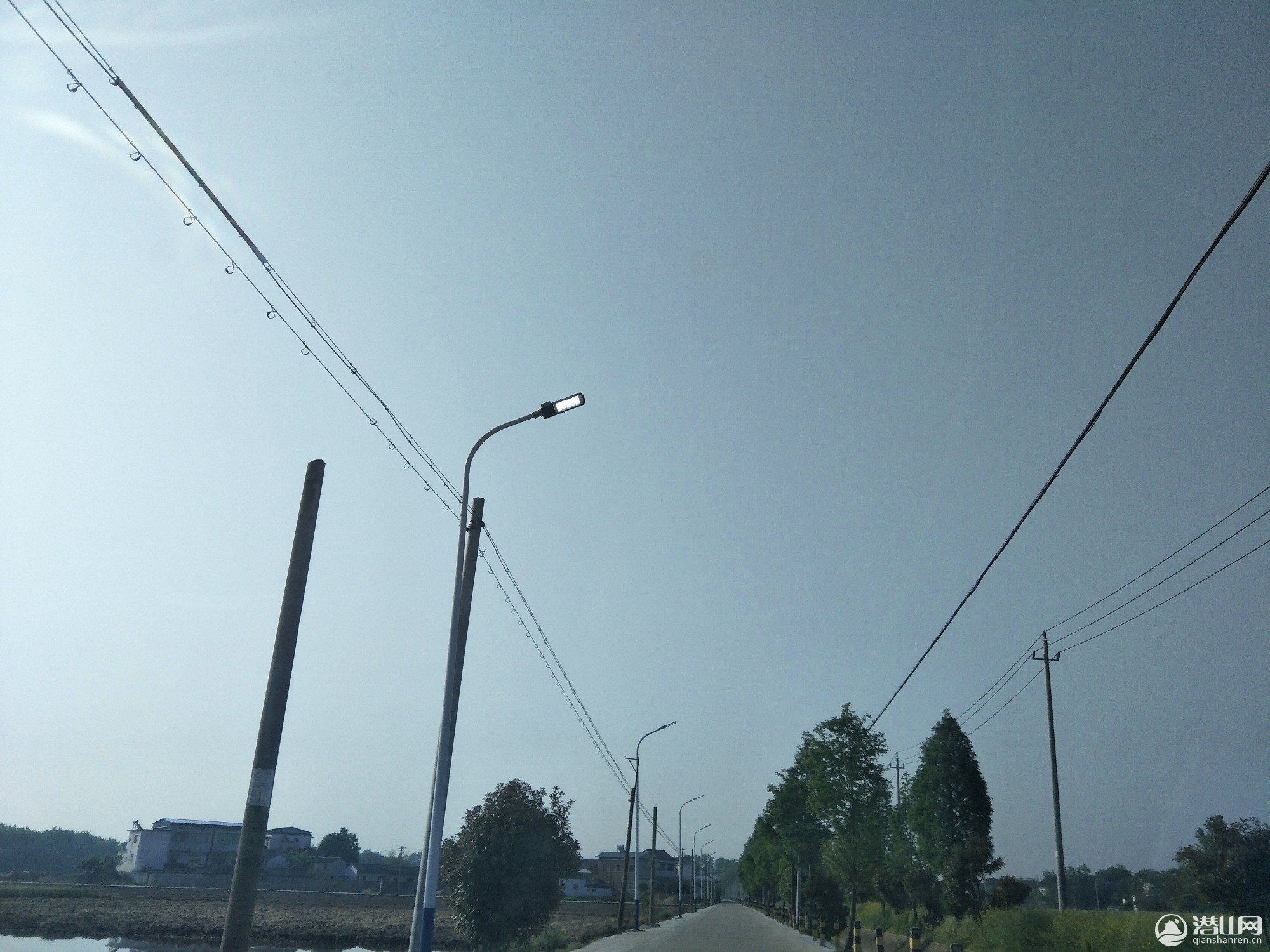 IMG20200429074255.jpg